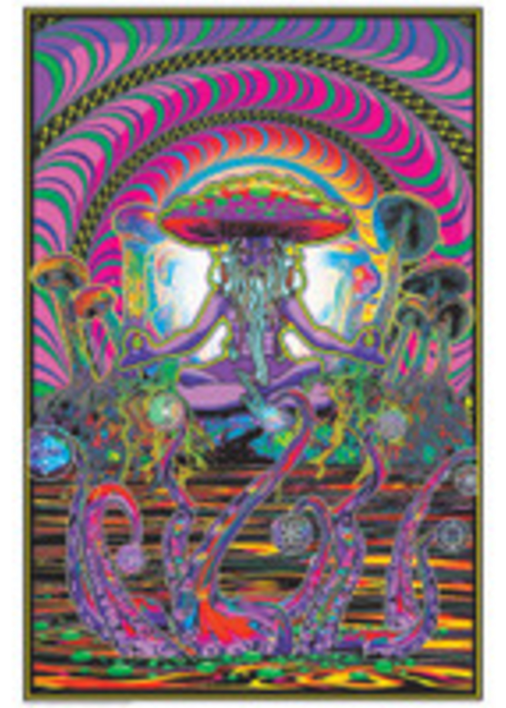 The Shroomer Sage Non-Flocked Blacklight Poster | 24" x 36" - #9008