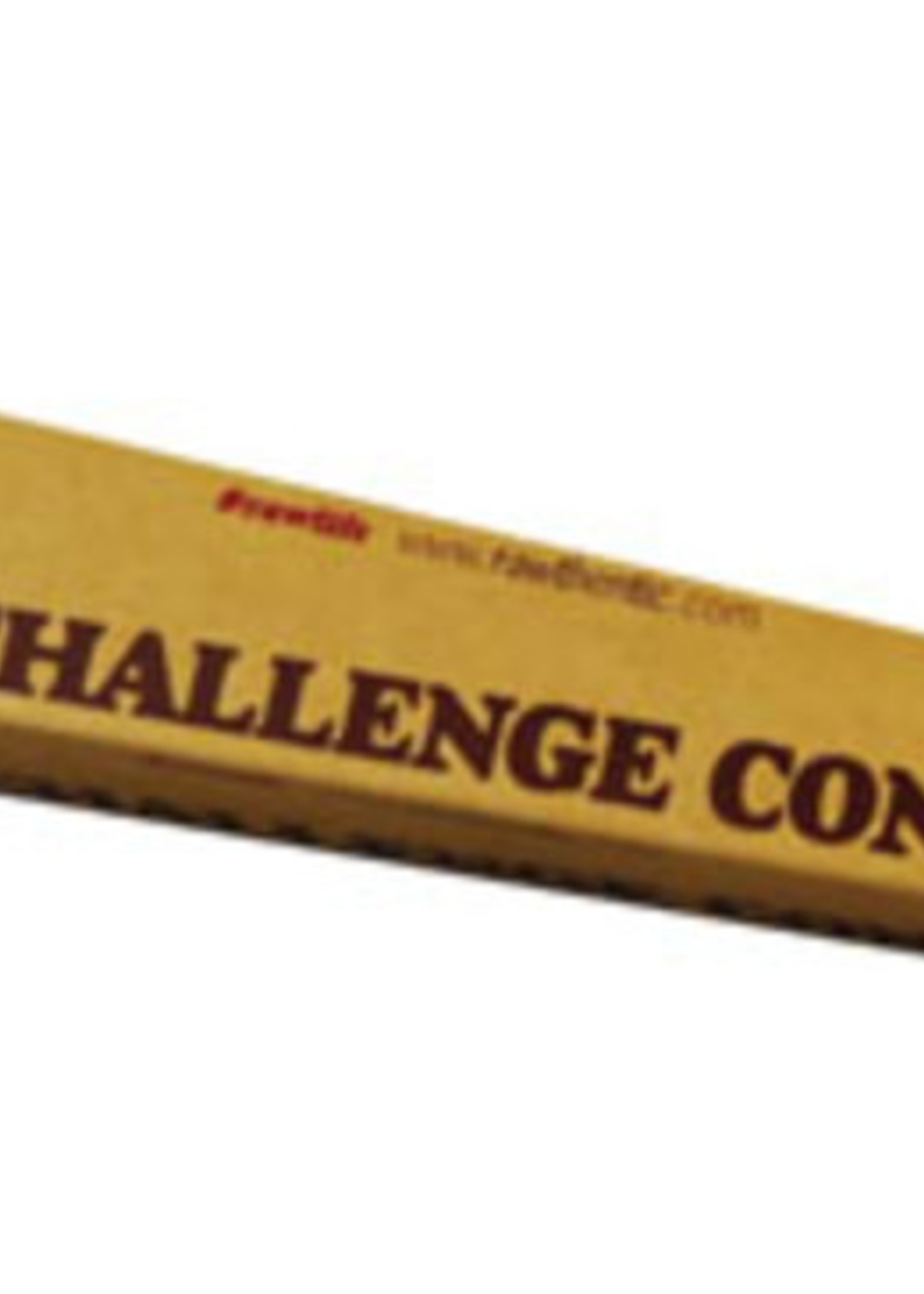 Raw Raw Challenge Cone - 24"