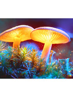 Pulsar Mystical Mushrooms Tapestry | 55" x 83" - #1390