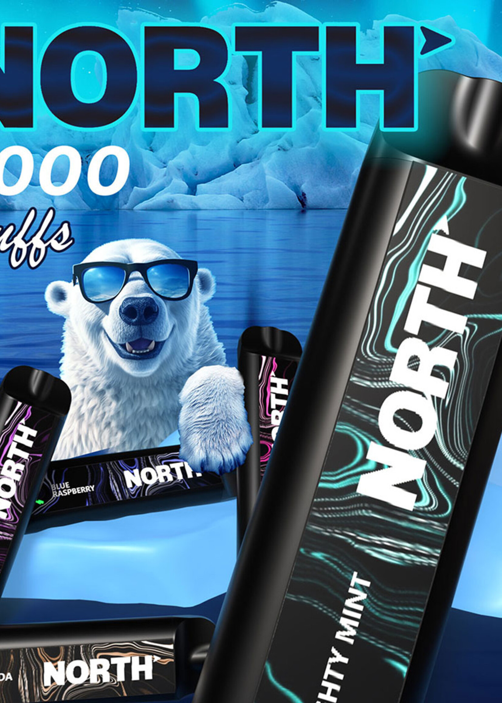 North North 10ML 5000 Puffs 550mAh Disposable