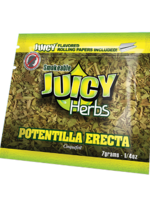 Copy of Juicy Herbs - 7g - Feverfew