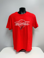 Jewell Volleyball ball & net
