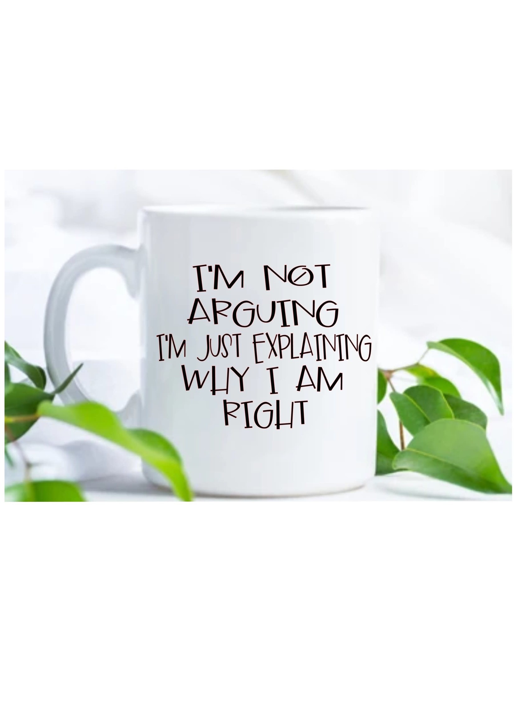 I'm not arguing I'm just explaining why I'm right mug