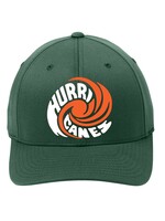 Ed Lark Hurricanes Swirl Fitted Hat