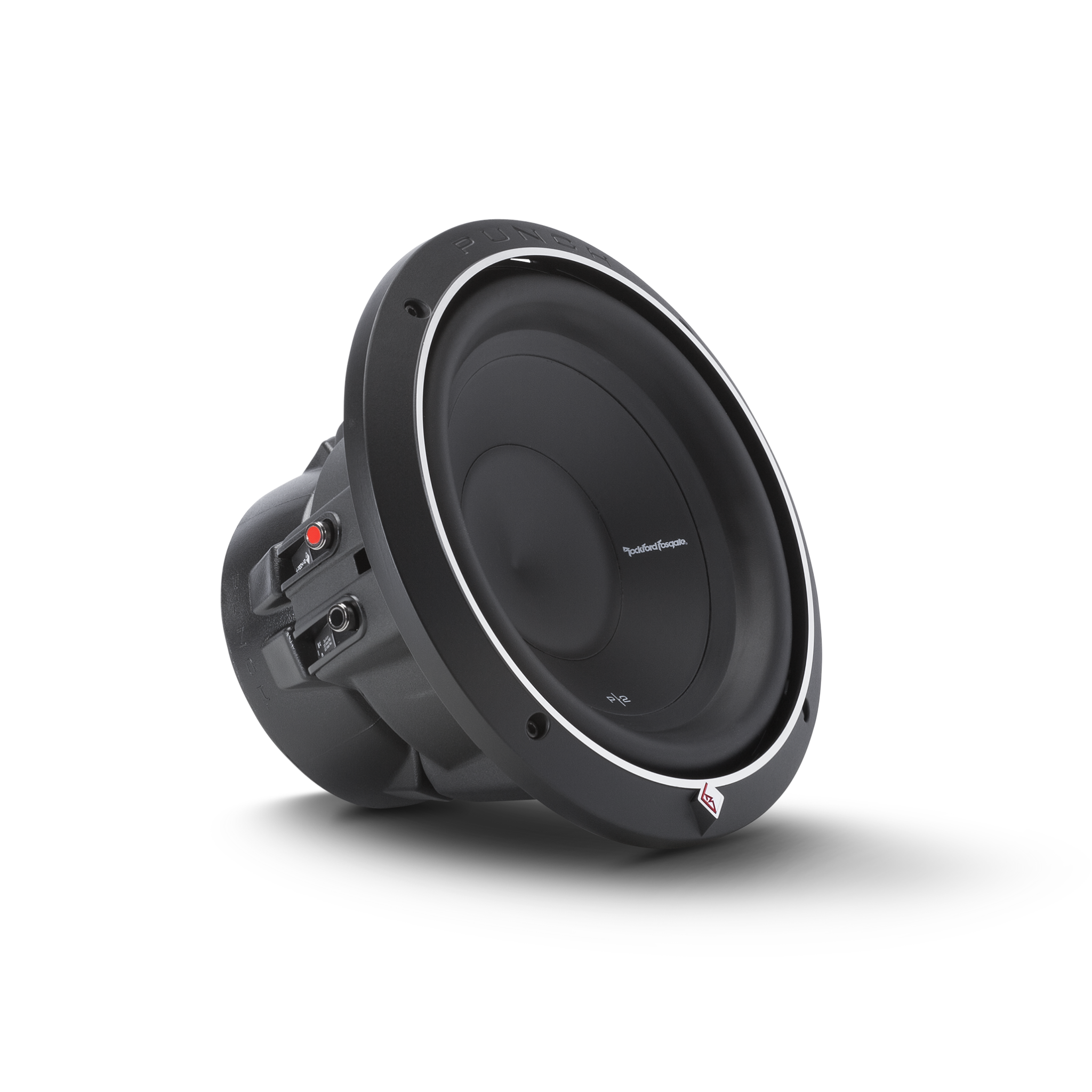 Rockford Fosgate P2D2-10 Dual 2ohm 10” subwoofer - EAI - Pascagoula