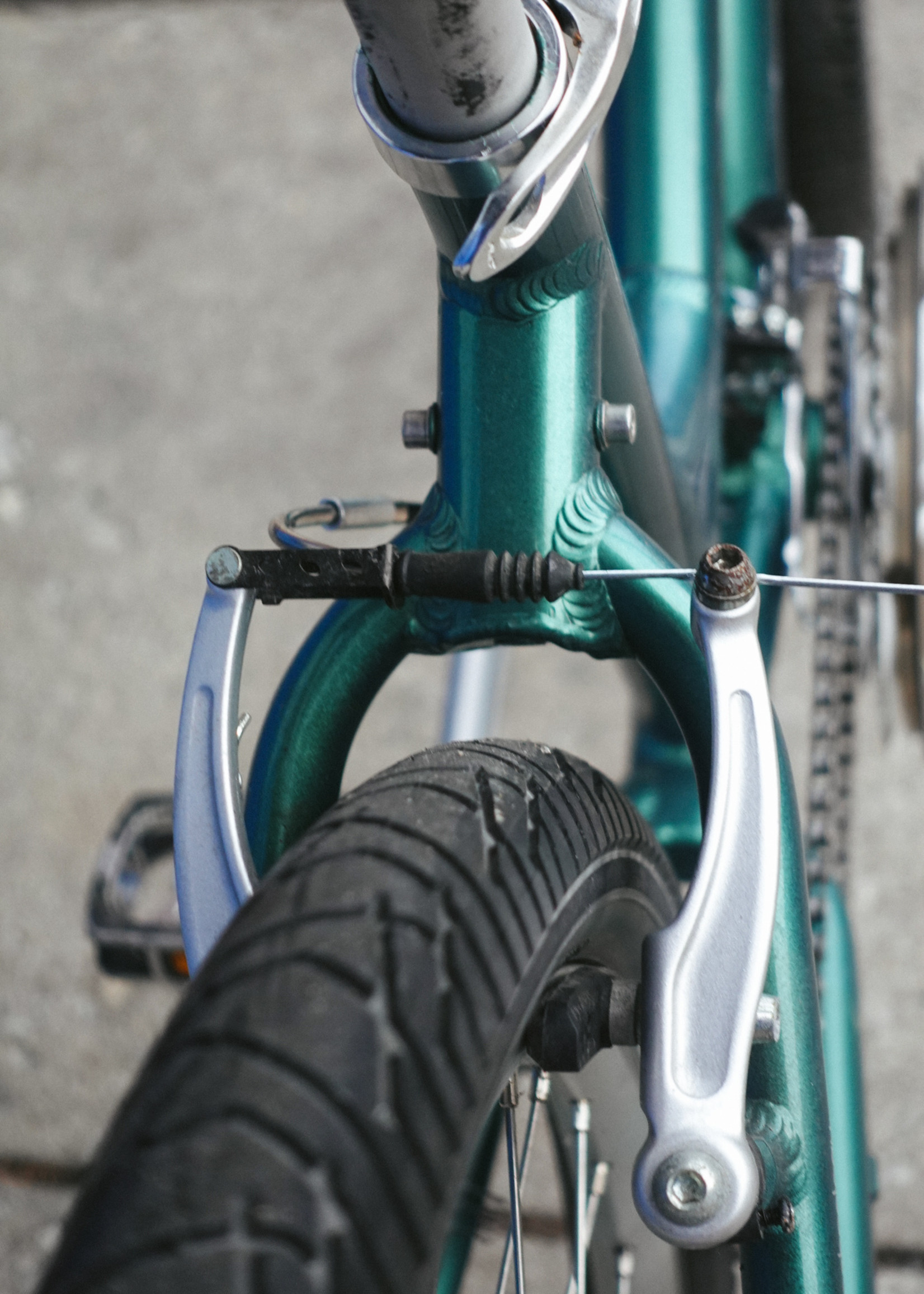 Townie 24 2025