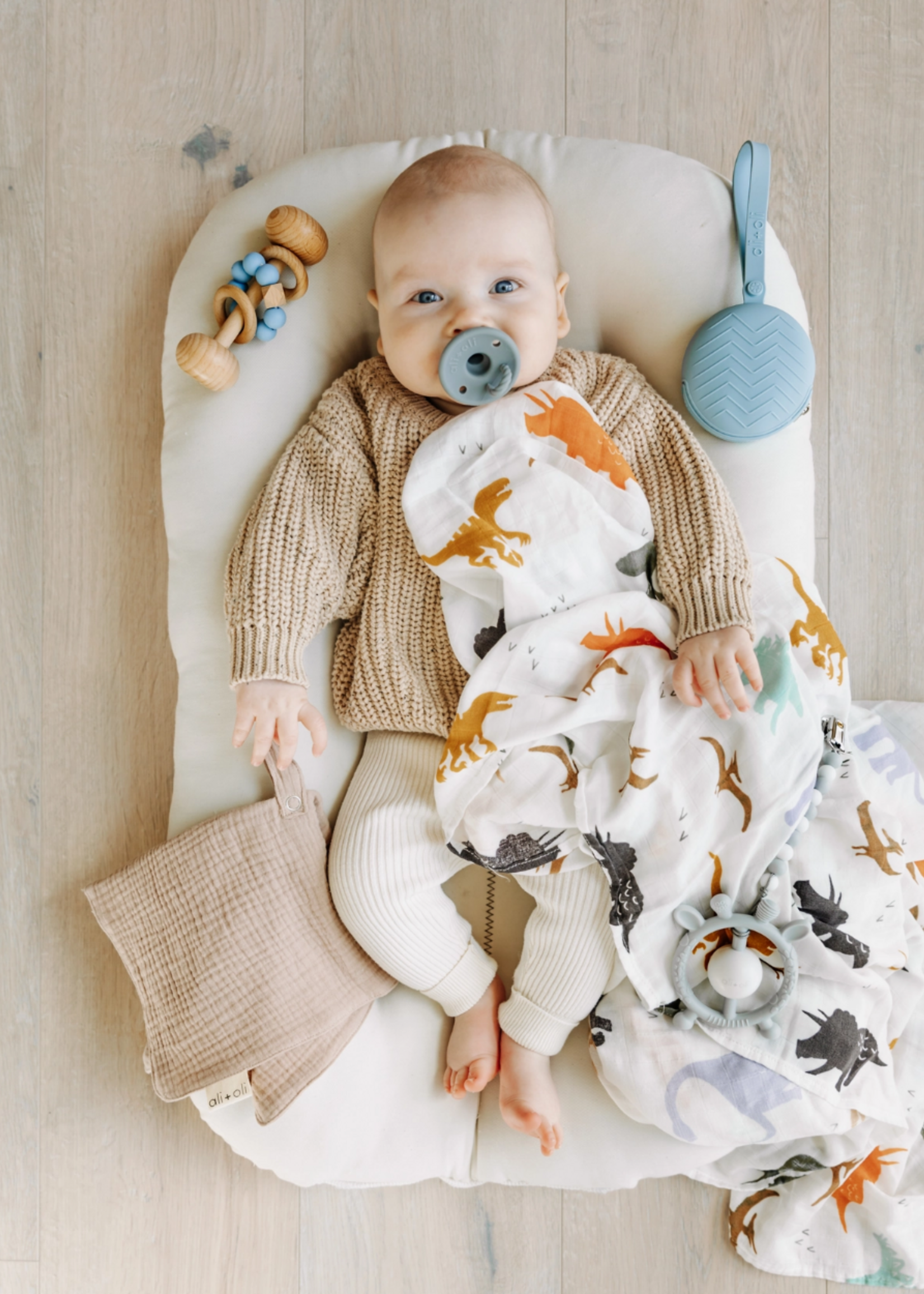 Ali and Oli Bamboo Muslin Swaddle Blanket (Dinosaurs)