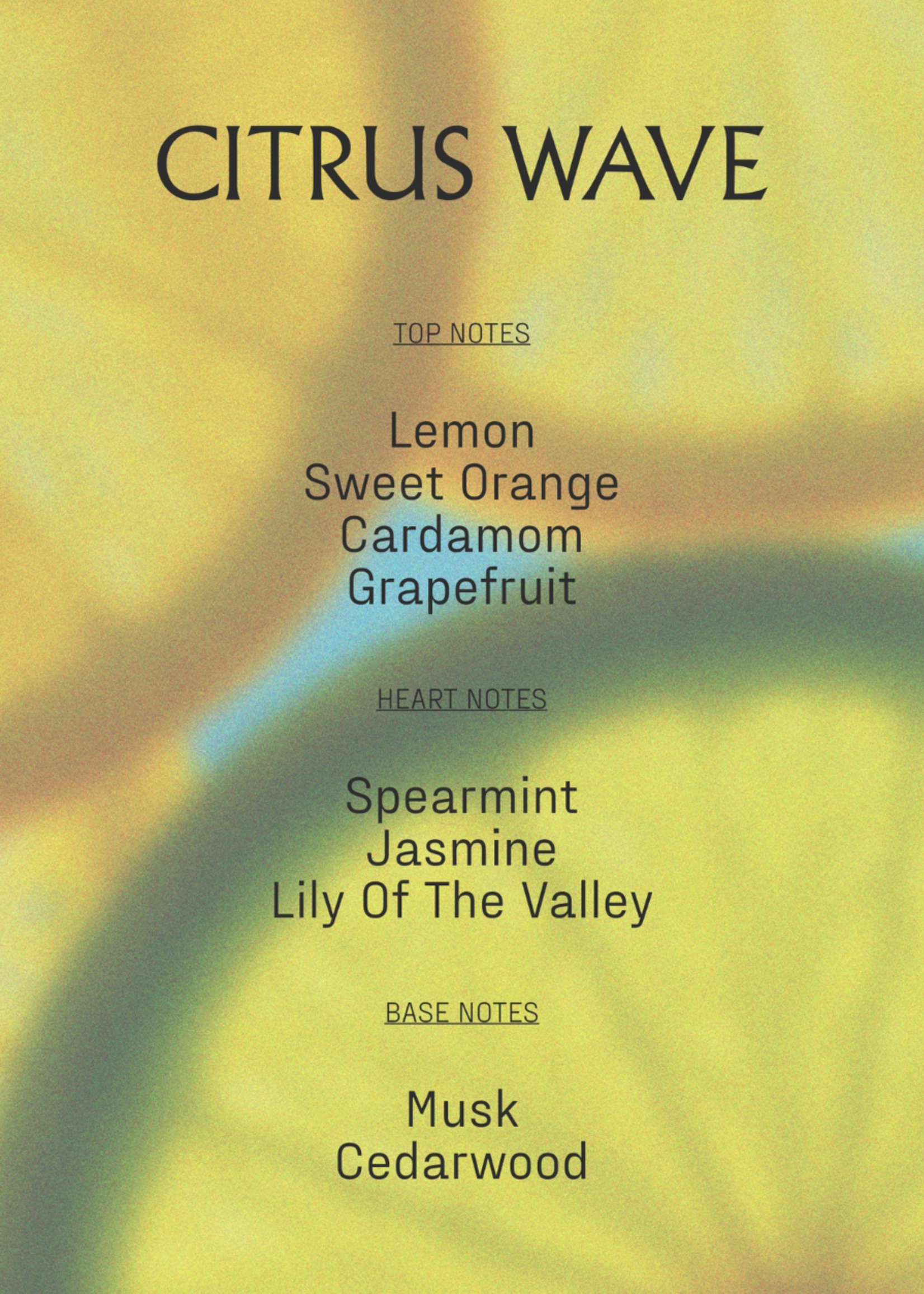 Nerra Dry Body Oil | Citrus Wave