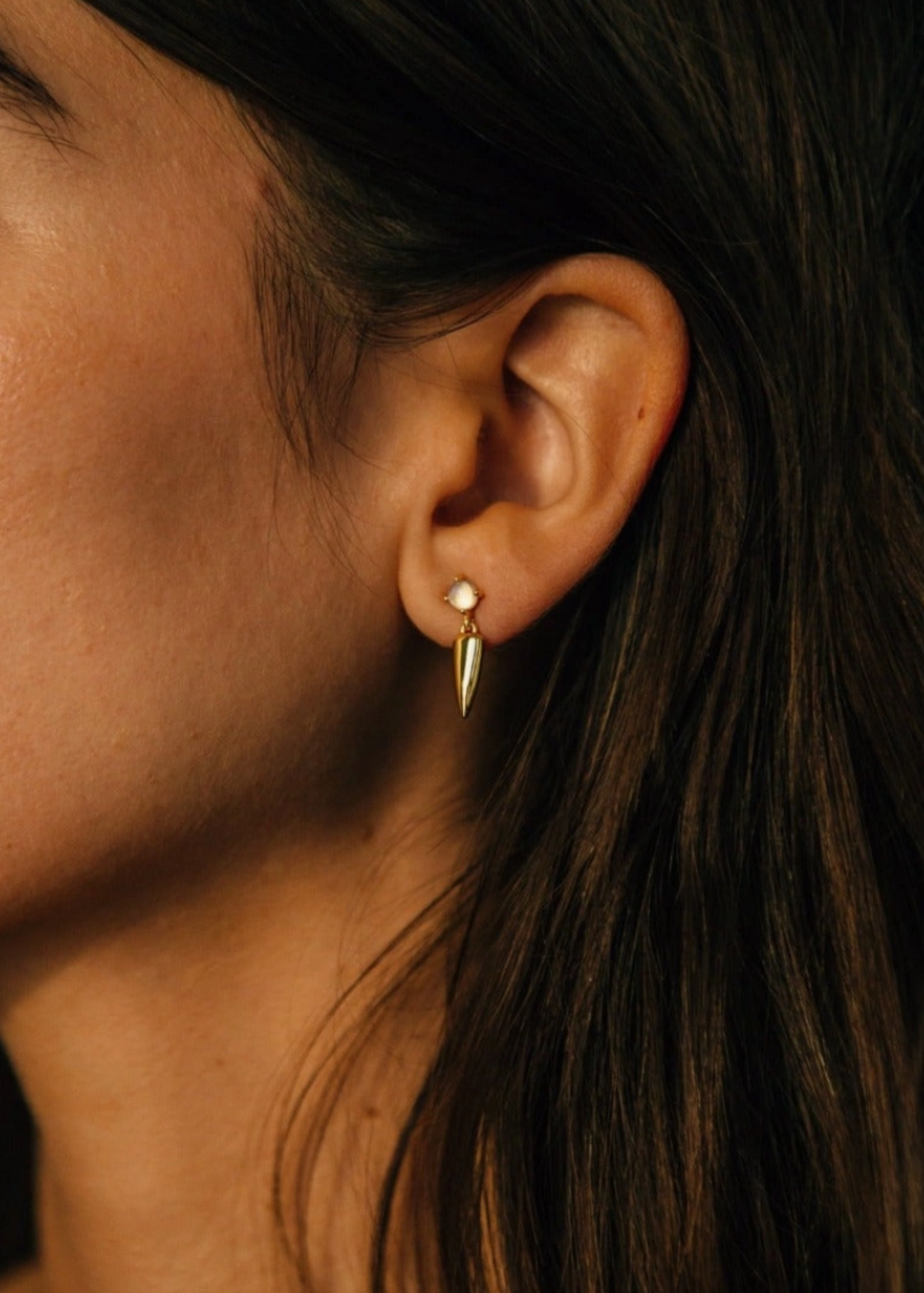 Sierra Winter Jewlery Desperado Earrings