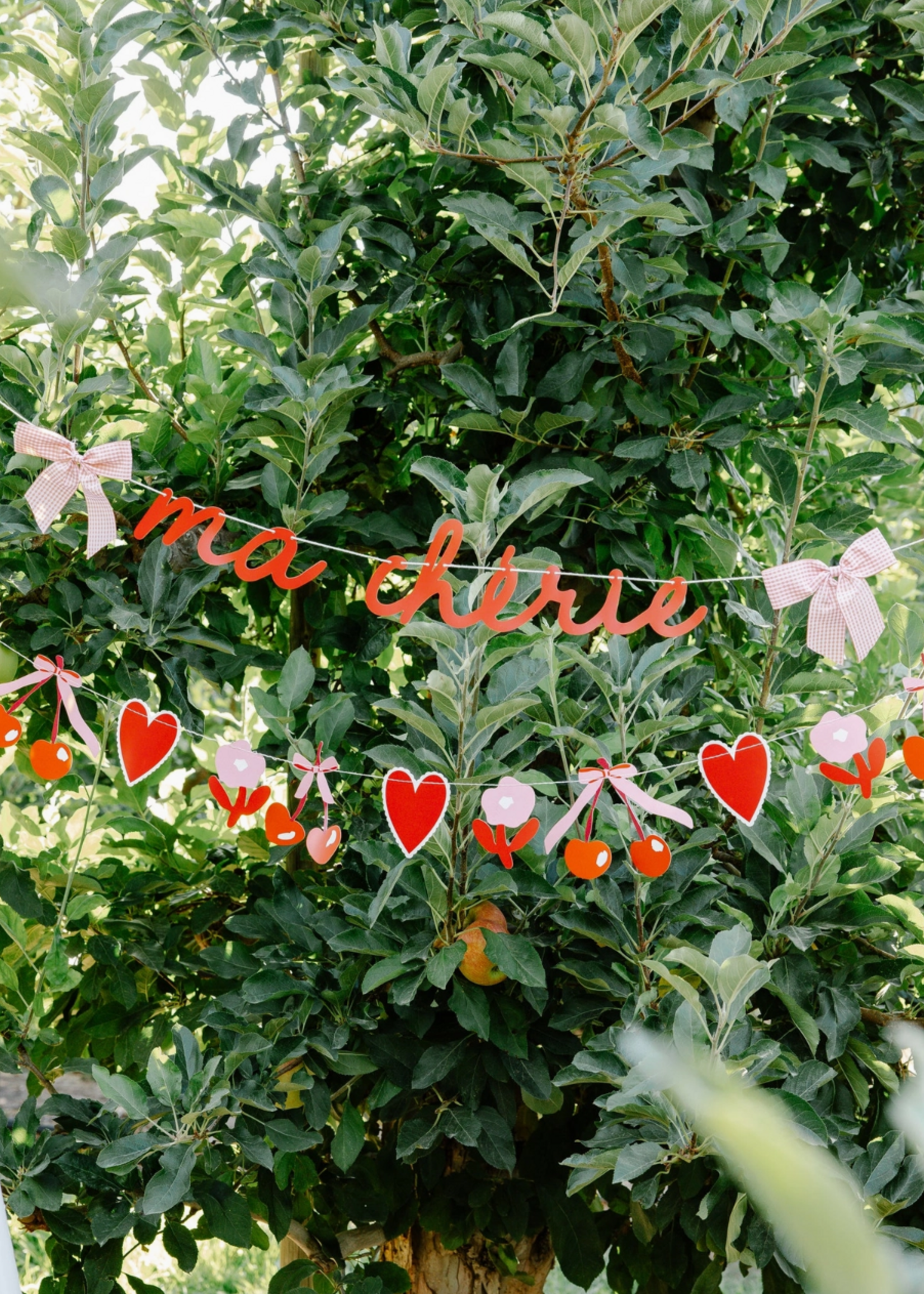 Meri Meri Ma Cherie Banner set