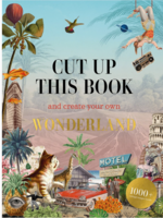 Abrams Cut Up This Book and Create Your Own Wonderland