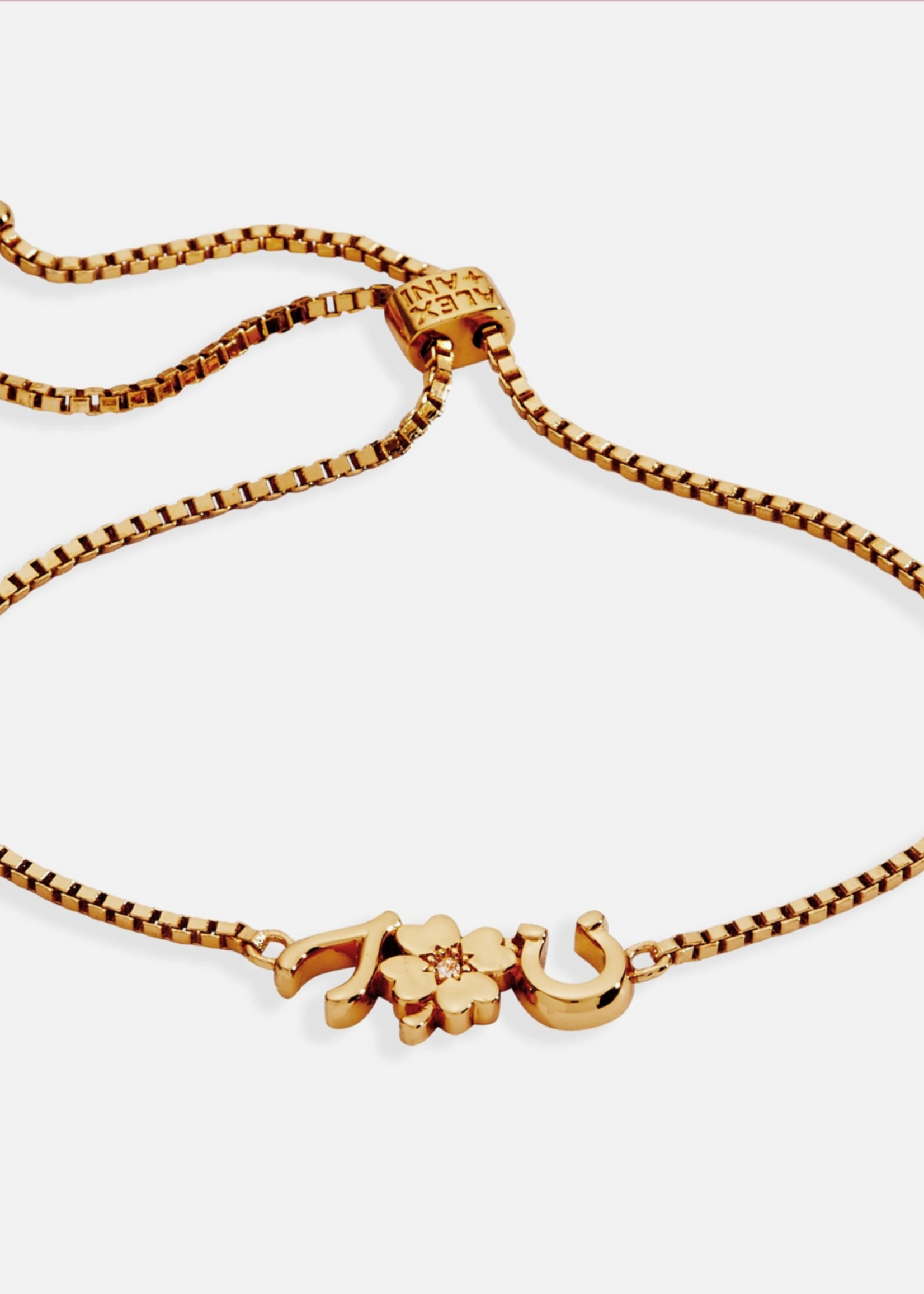 Alex and Ani Lucky Symbol Bolo Bracelet