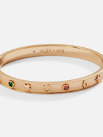 Alex and Ani Lucky Hinge Bangle