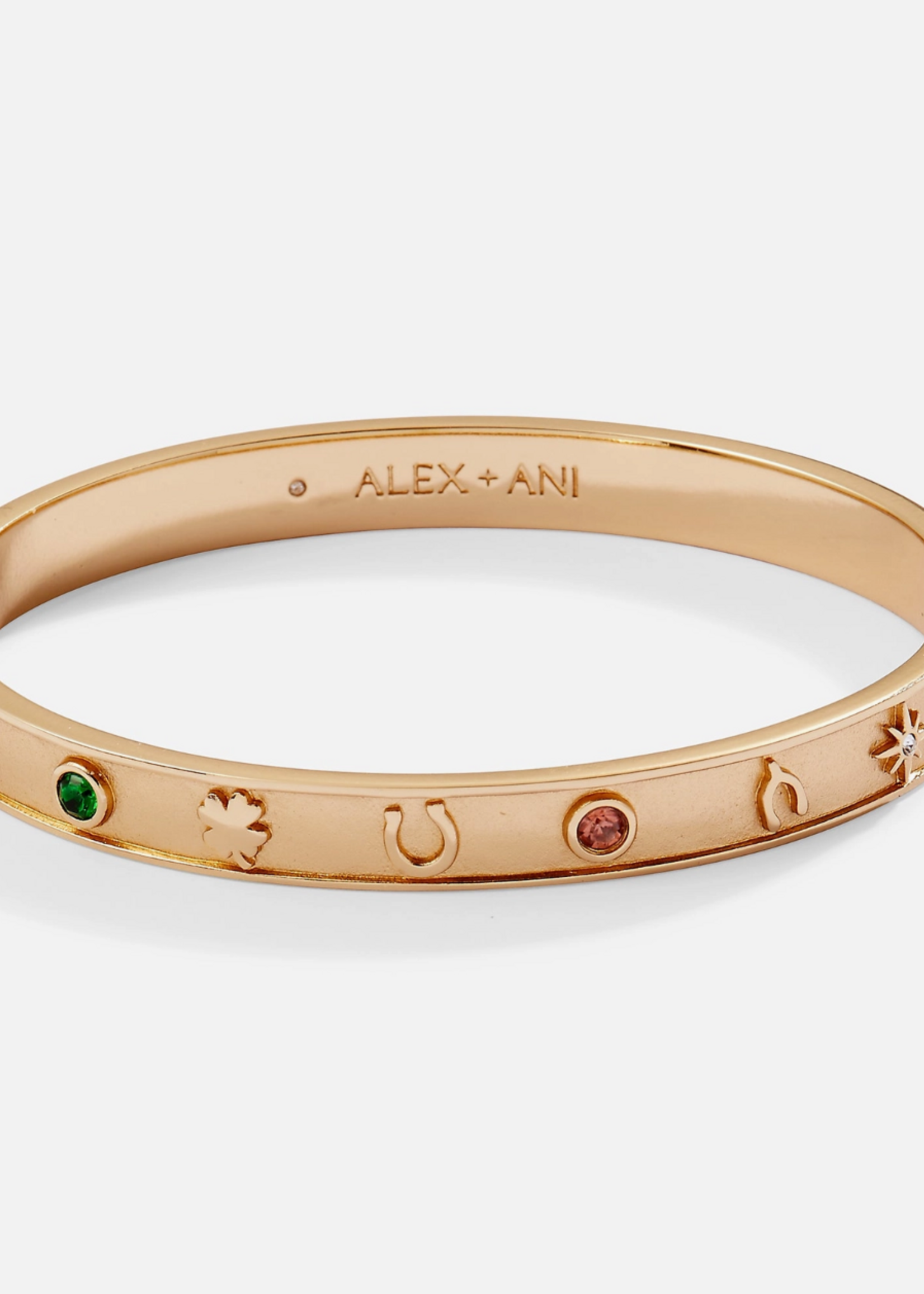 Alex and Ani Lucky Hinge Bangle