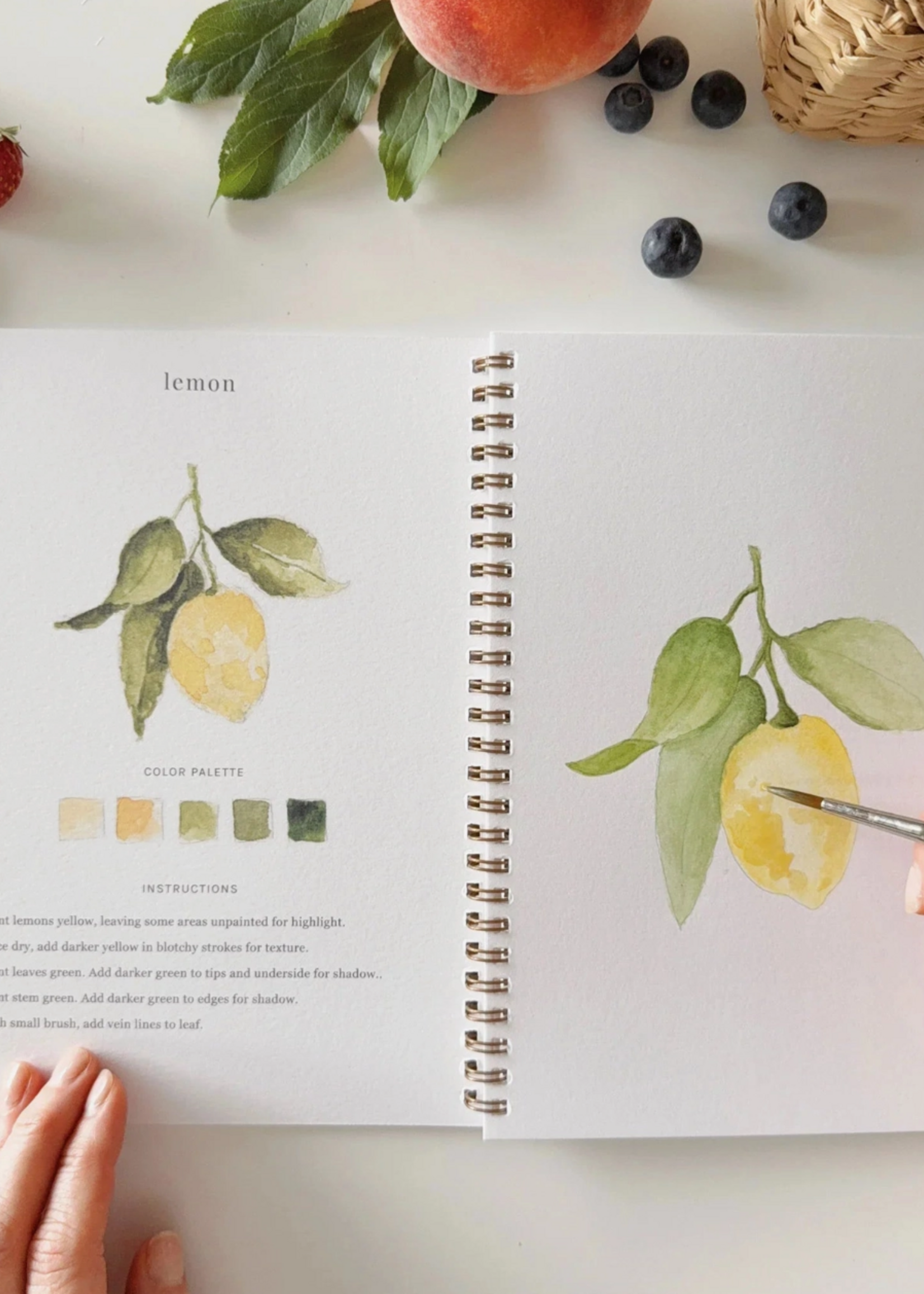 Emily Lex Studio Fruit Watercolor Workbook