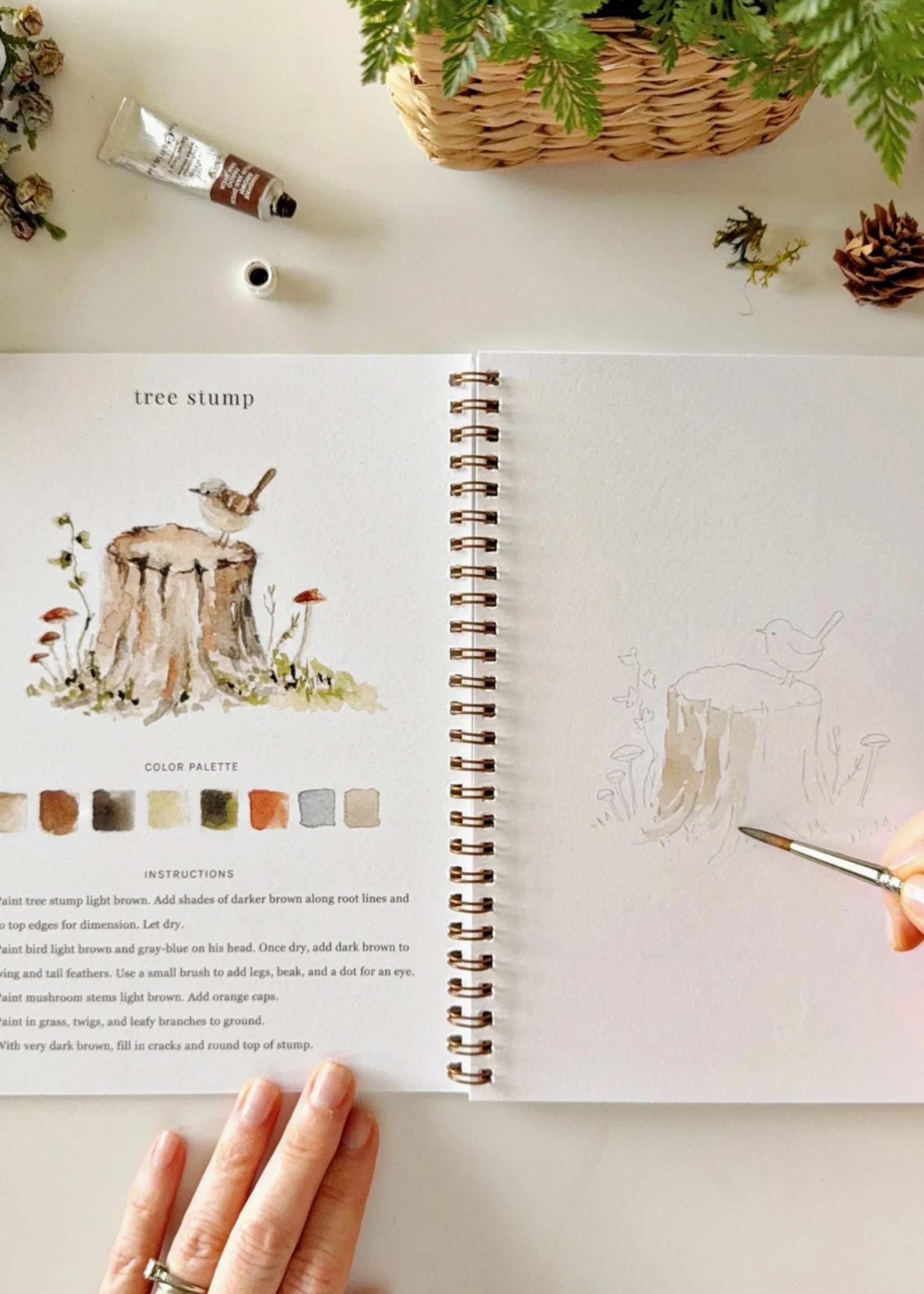 Emily Lex Studio Woodland Watercolor Workbook
