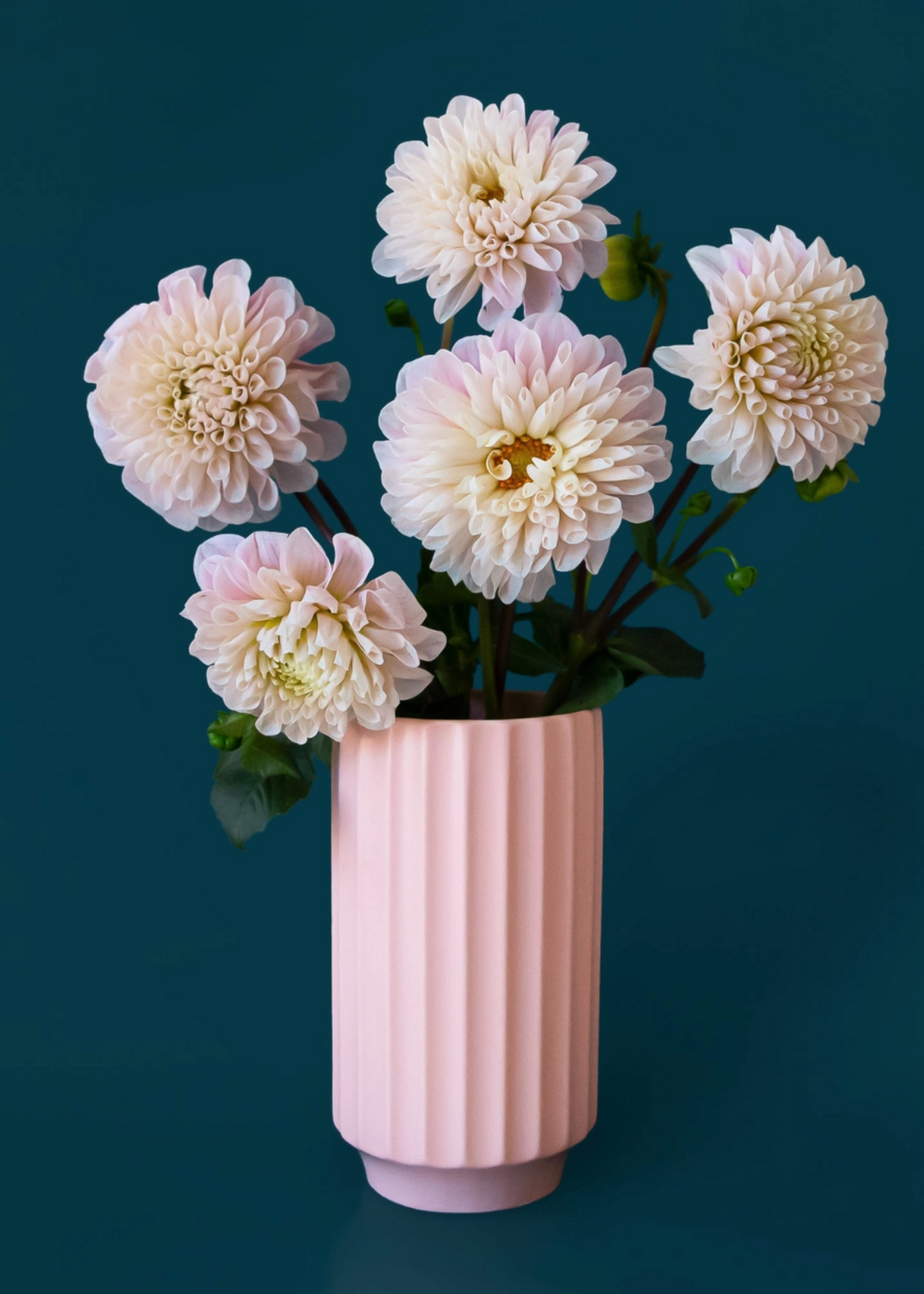 Jungle Club Monroe Vase | Petal Pink