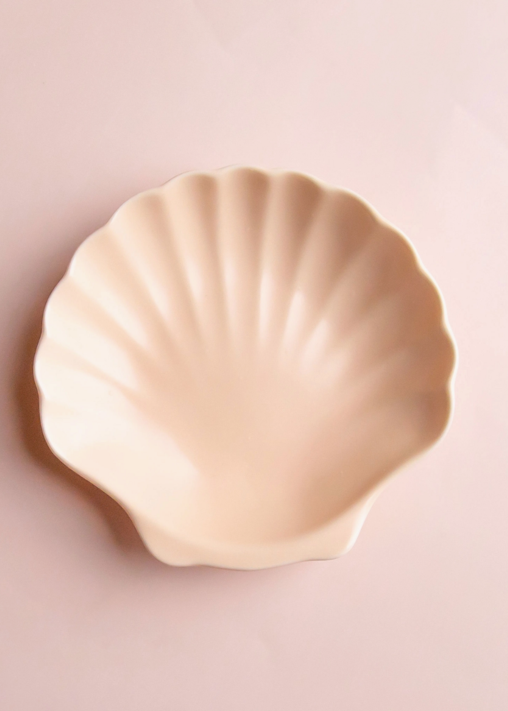 Jungle Club Trinket Dish | Shell