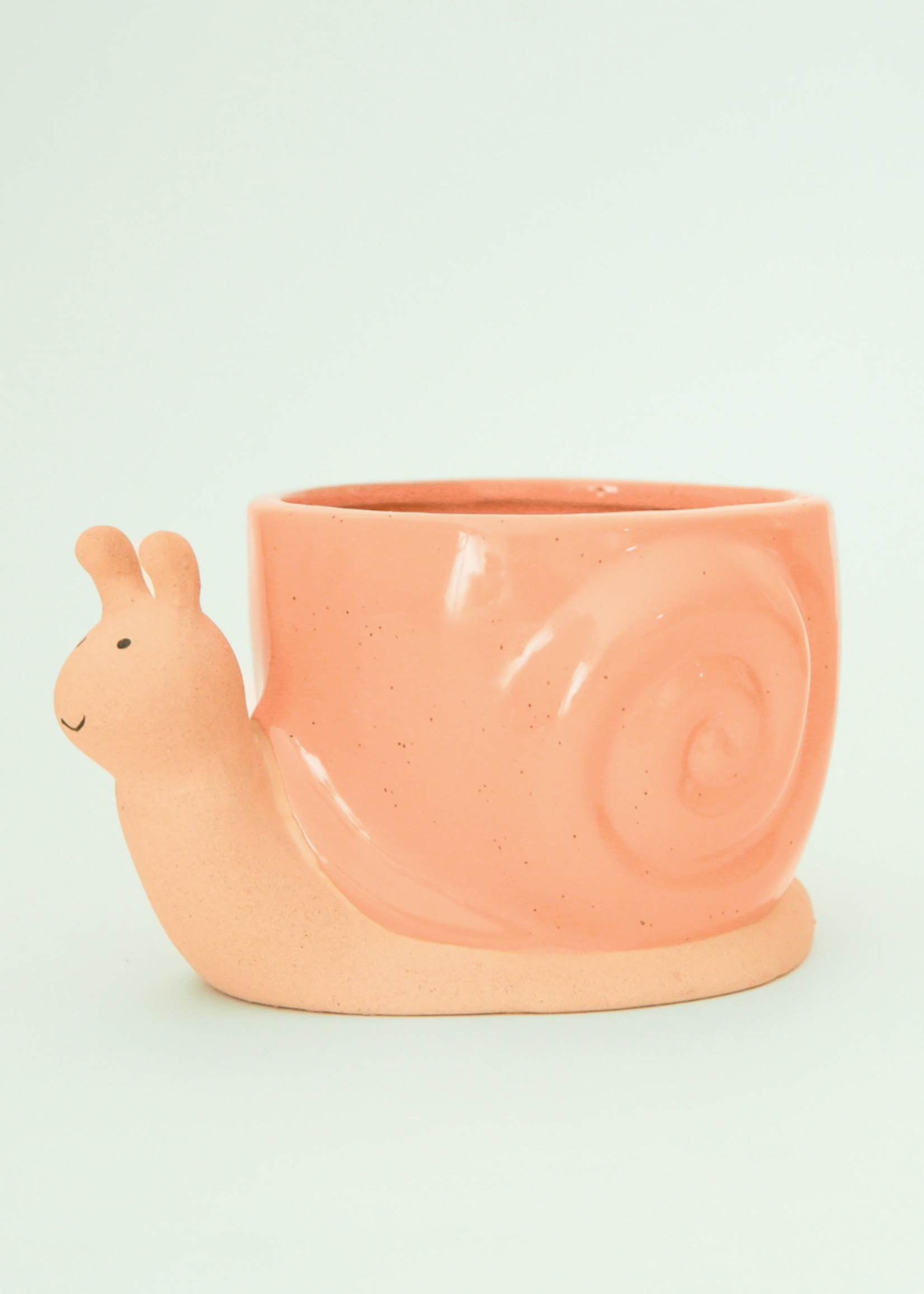 Jungle Club Snail Planter | Sunset  S