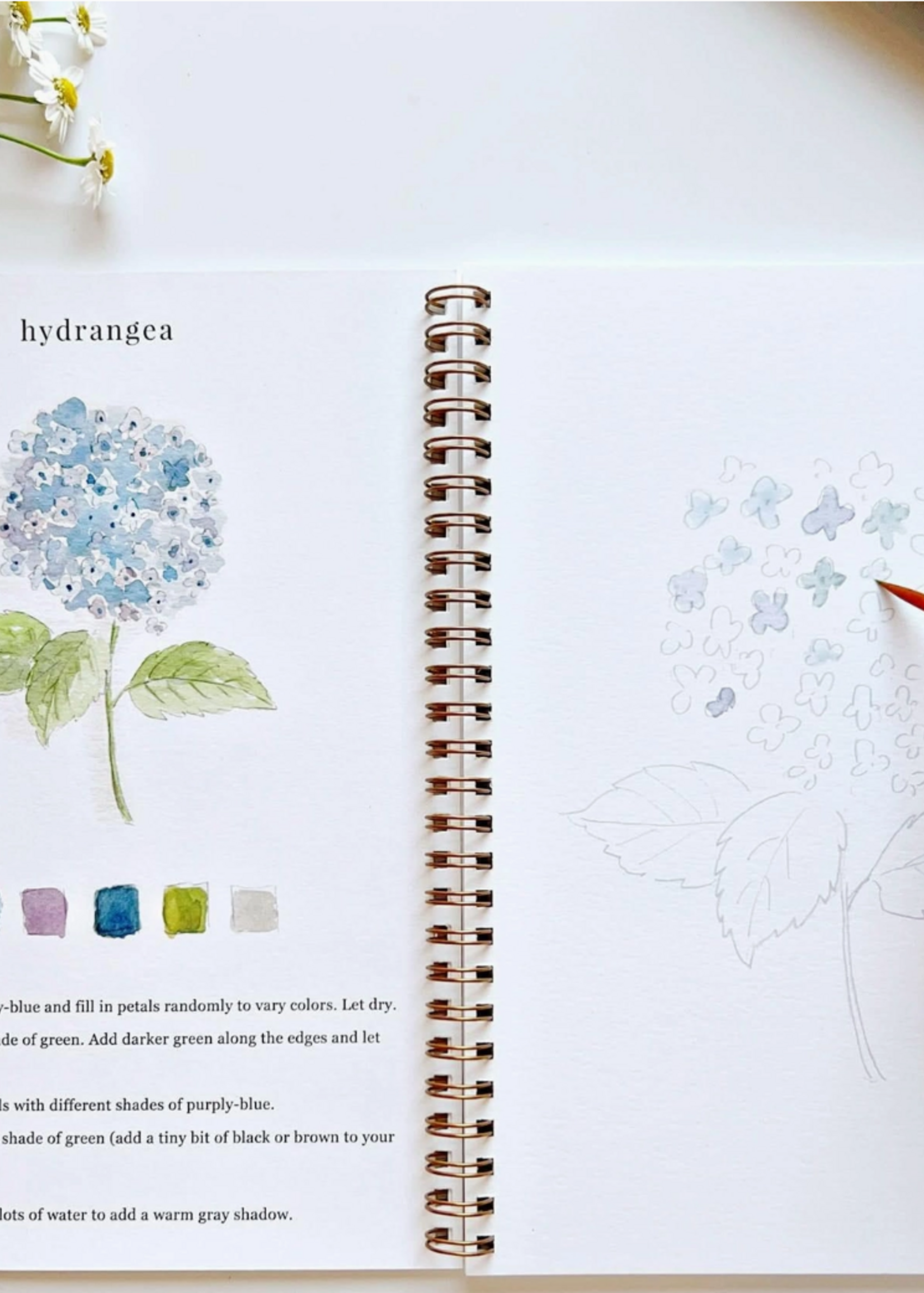 Emily Lex Studio Flowers Watercolor Workbook