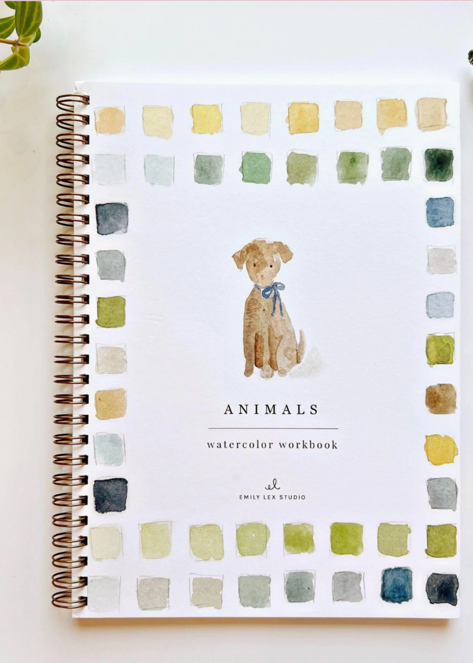 Emily Lex Studio Animals Watercolor Workbook