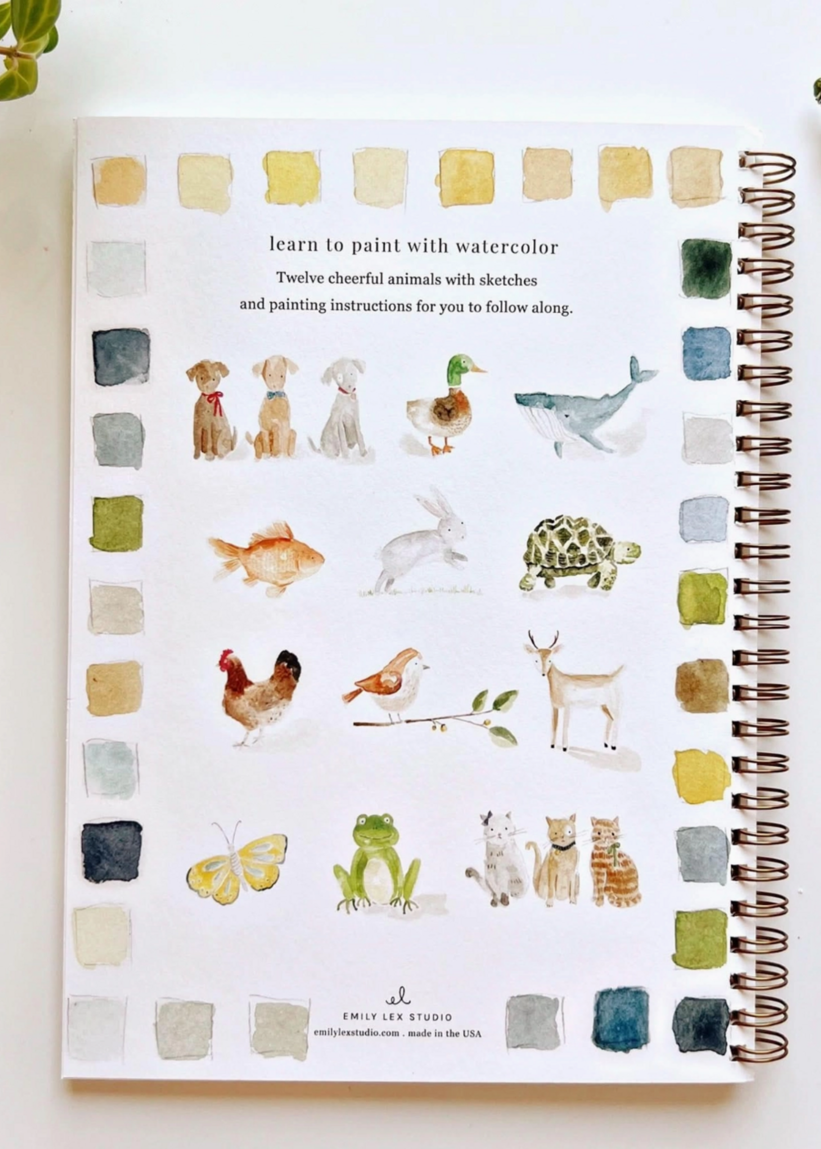 Emily Lex Studio Animals Watercolor Workbook