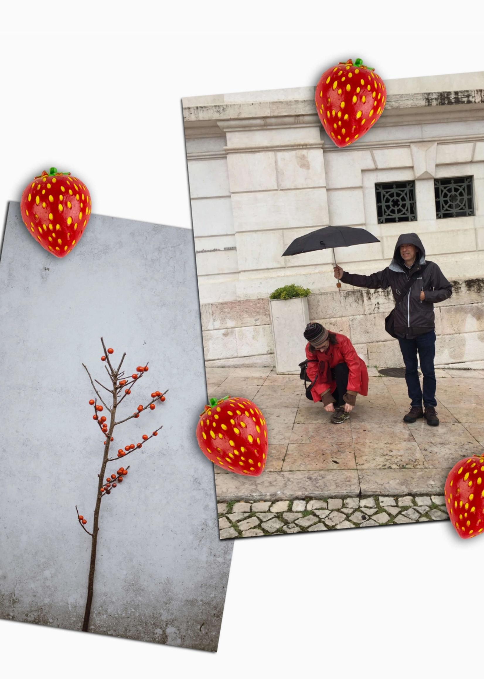 Three by Three Seattle Colorful Strawberry Magnets Iconic Packaging