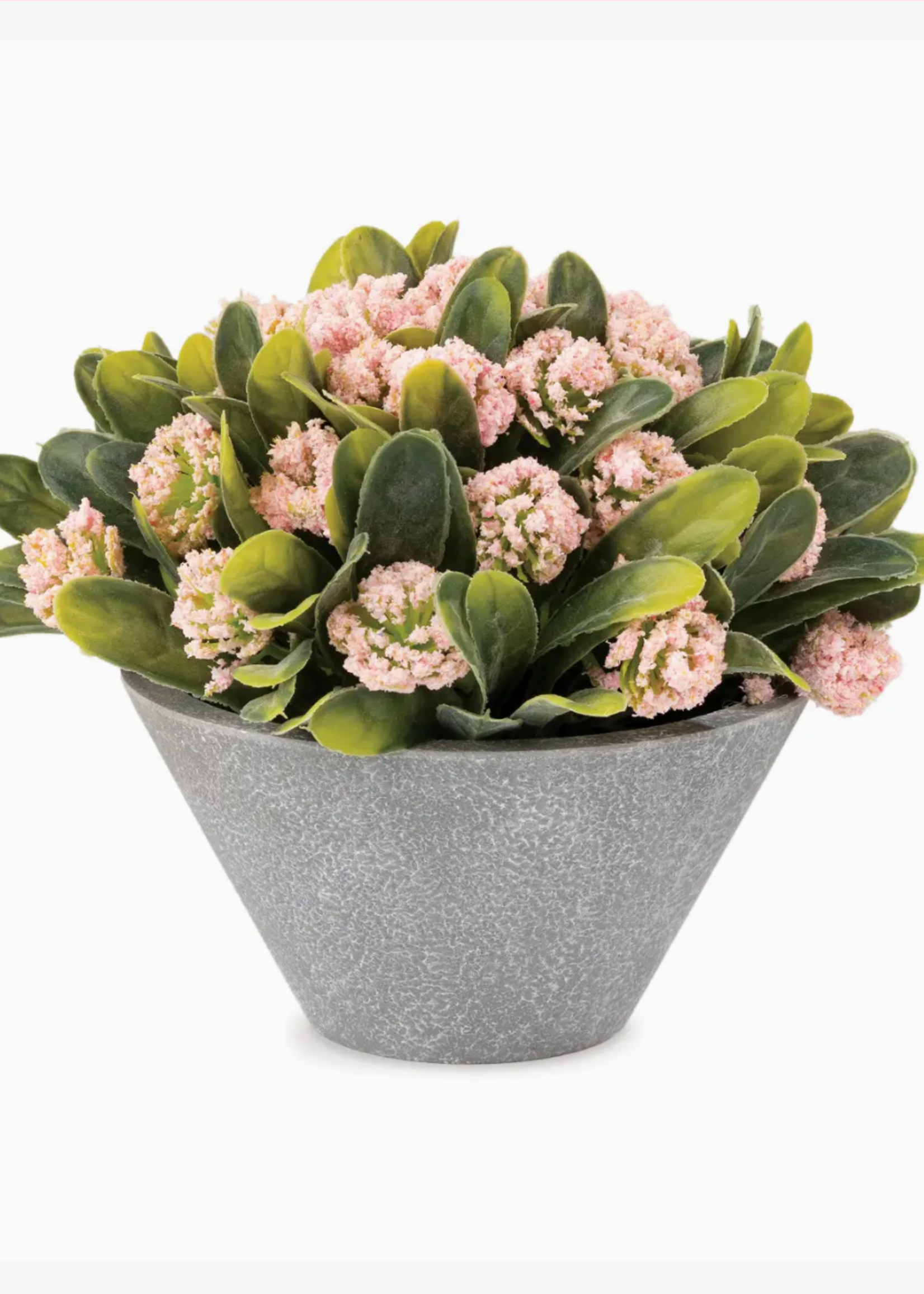 Blossom Bucket & Crossroads Light Pink Florals in Gray Pot