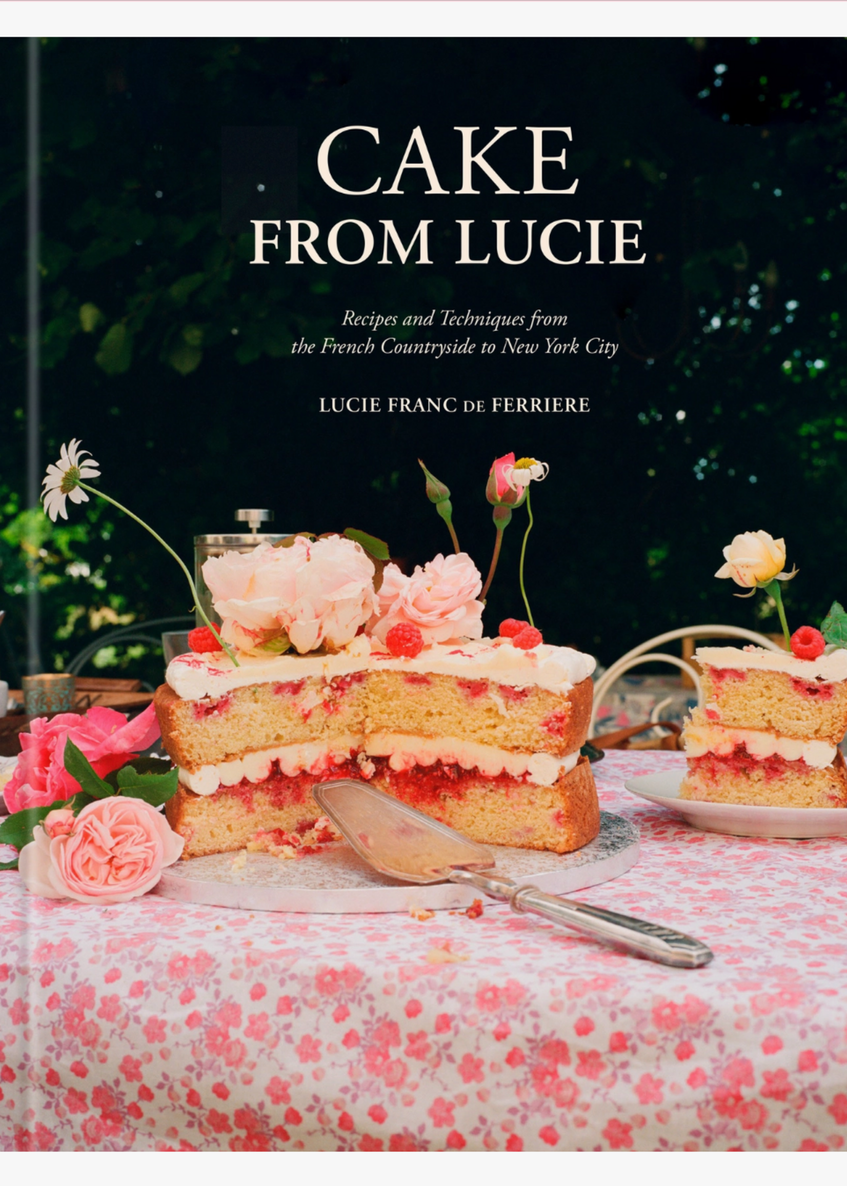 Penguin Random House Cake from Lucie