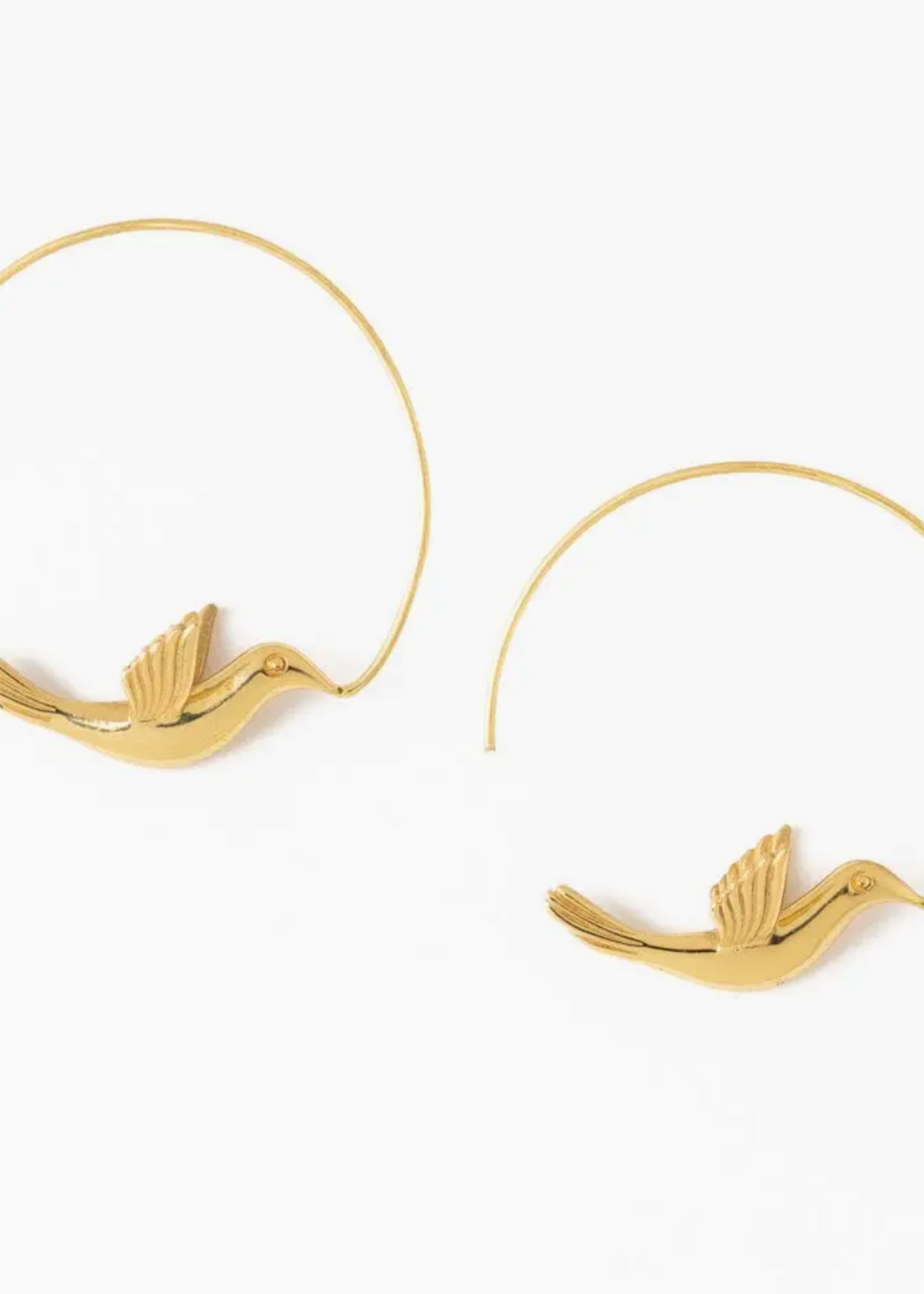 Ink + Alloy Wren Bird Hoop Earrings Brass