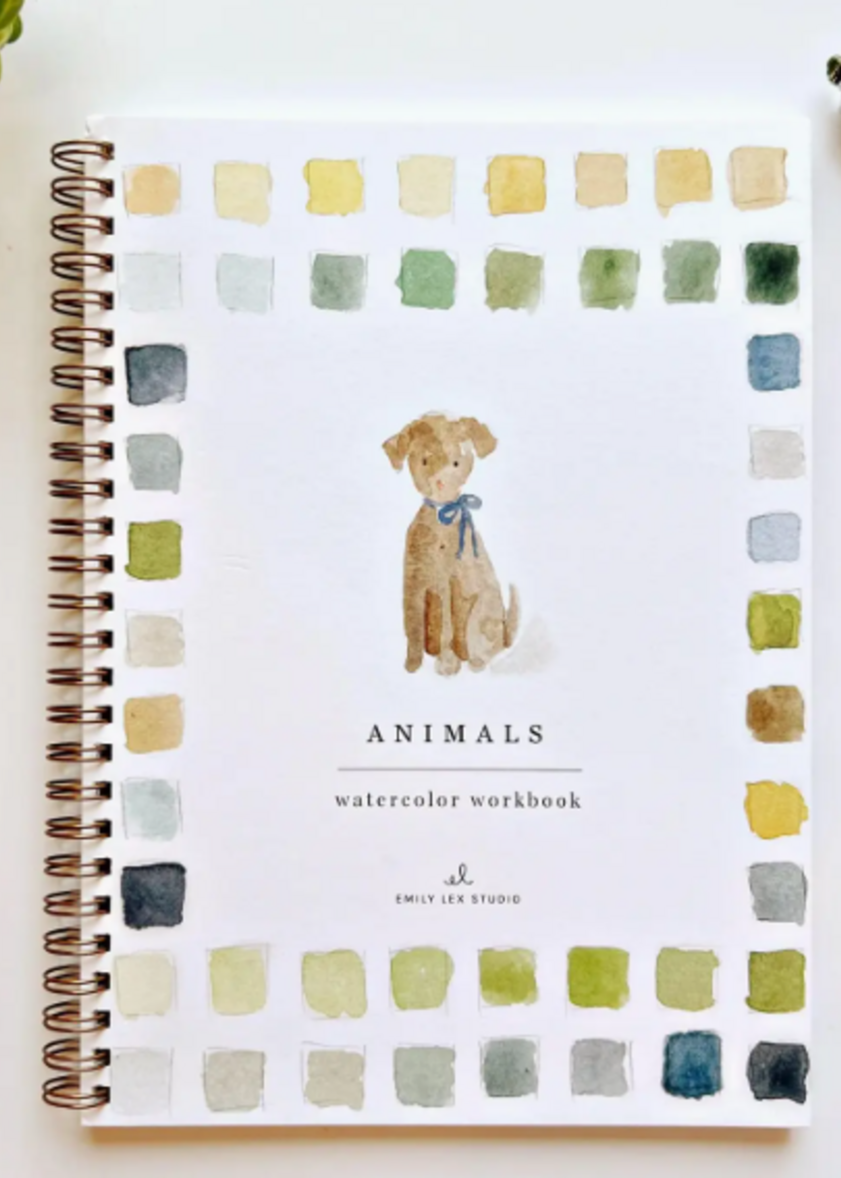 Emily Lex Studio Animals Watercolor Workbook