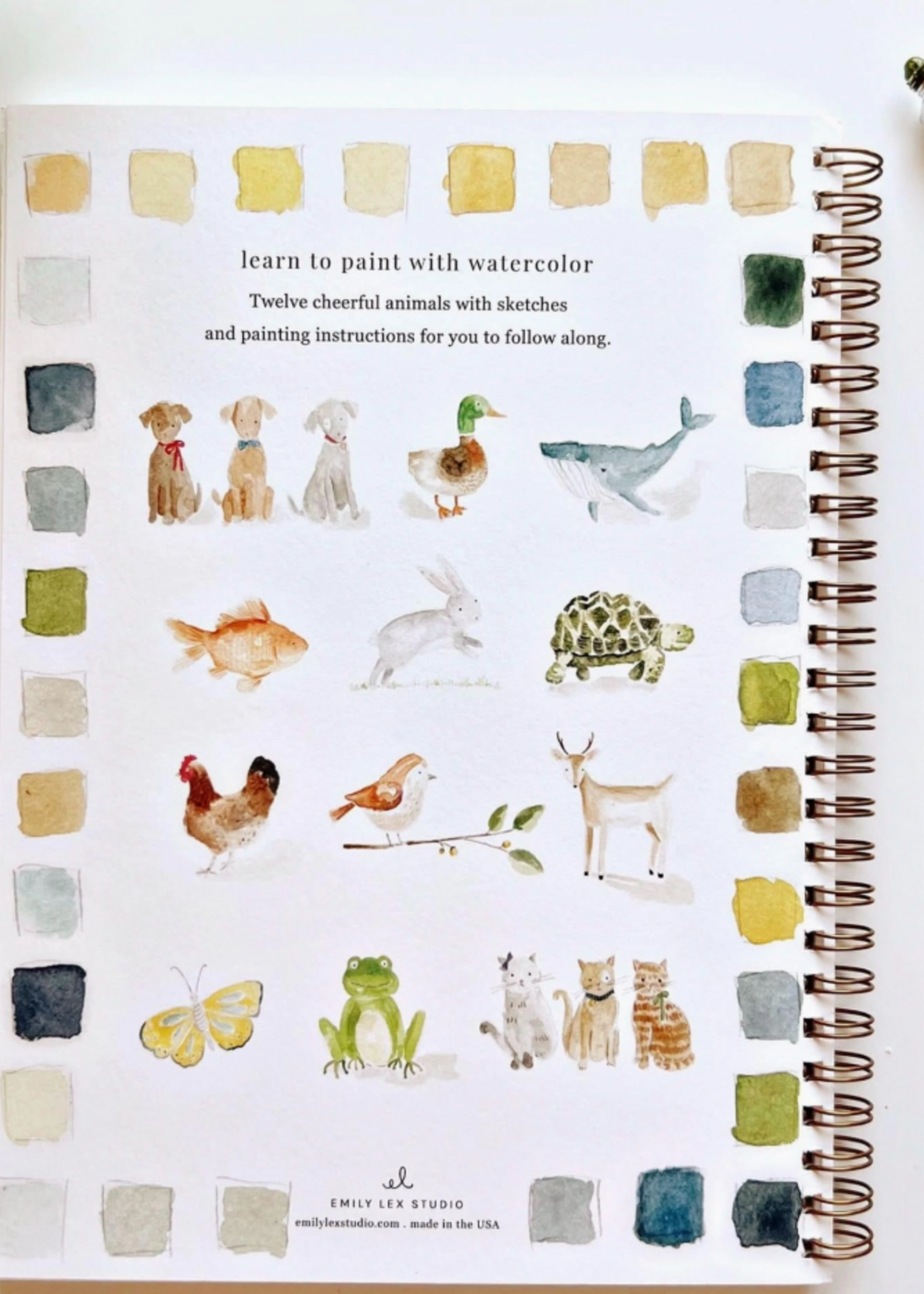 Emily Lex Studio Animals Watercolor Workbook
