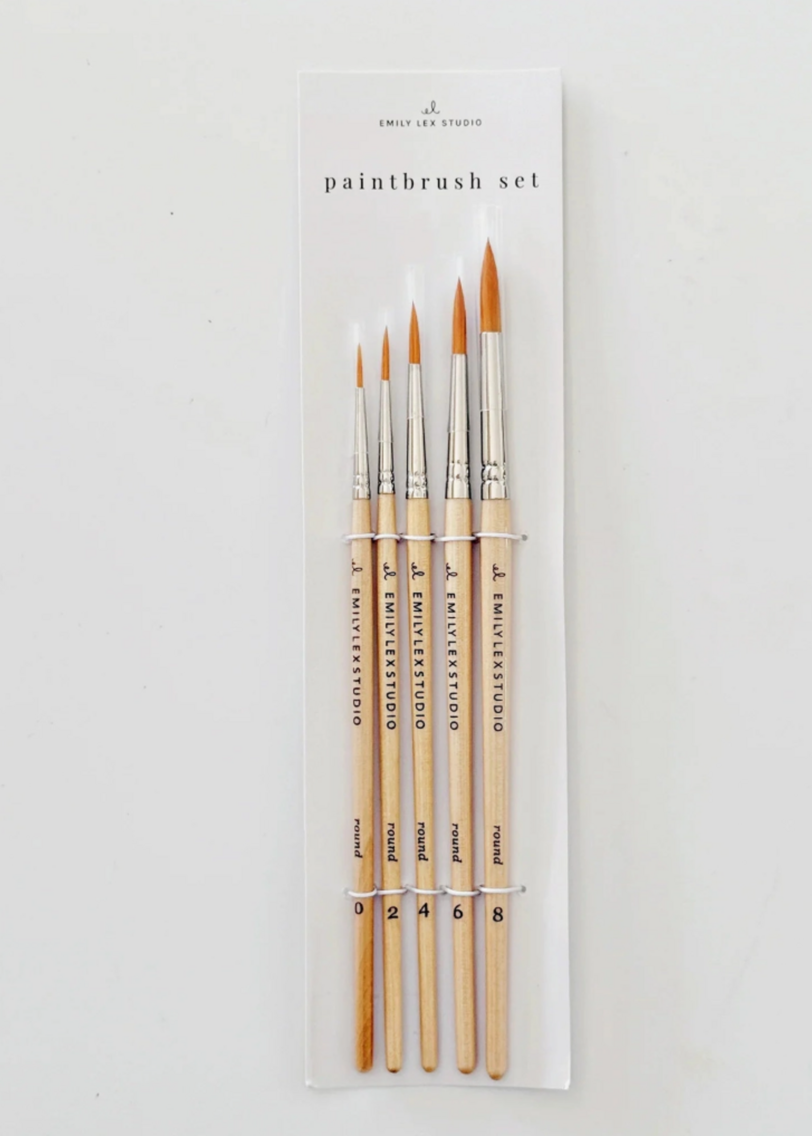 Emily Lex Studio Watercolor Paintbrush Set of Five Wood Brushes