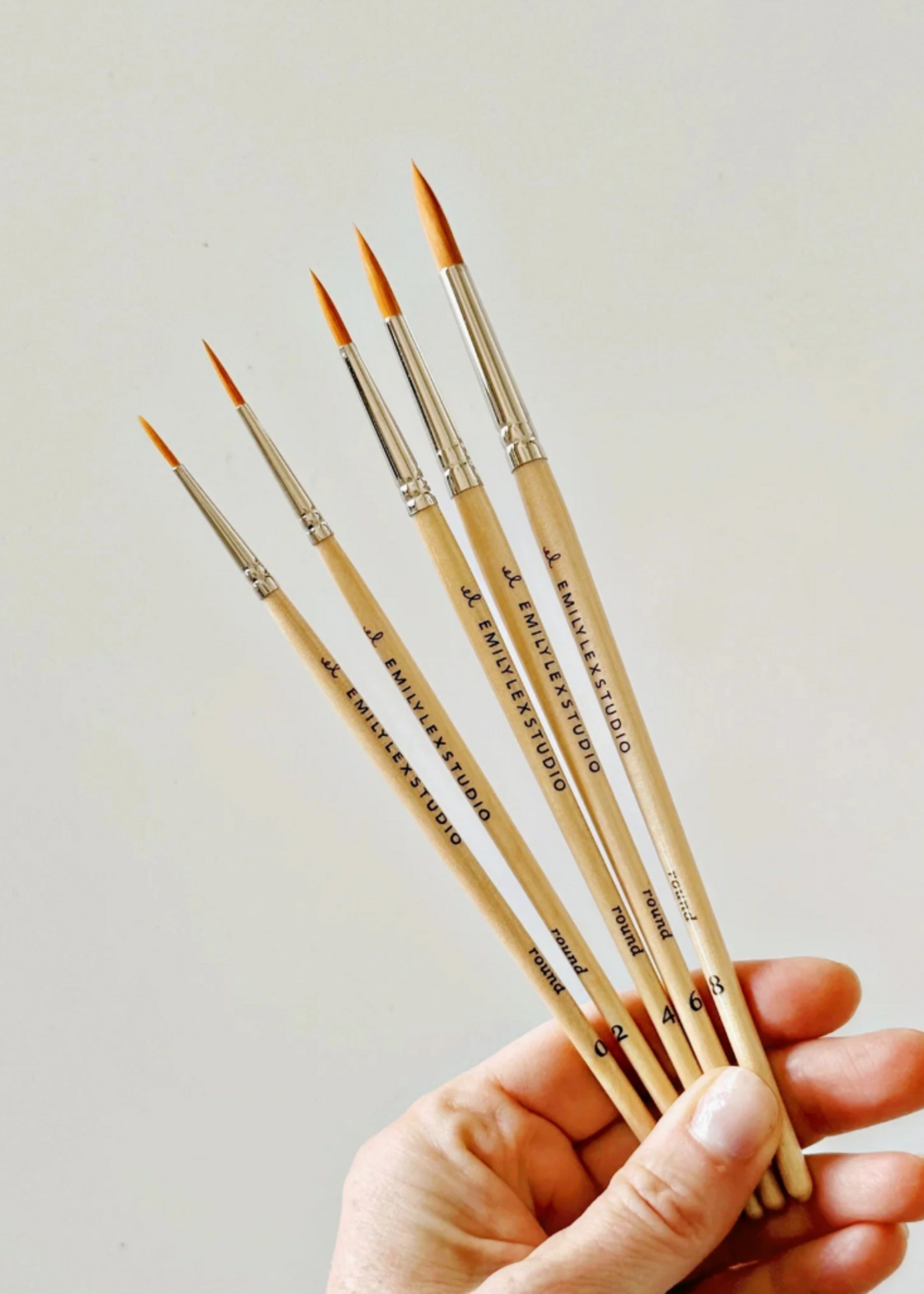 Emily Lex Studio Watercolor Paintbrush Set of Five Wood Brushes