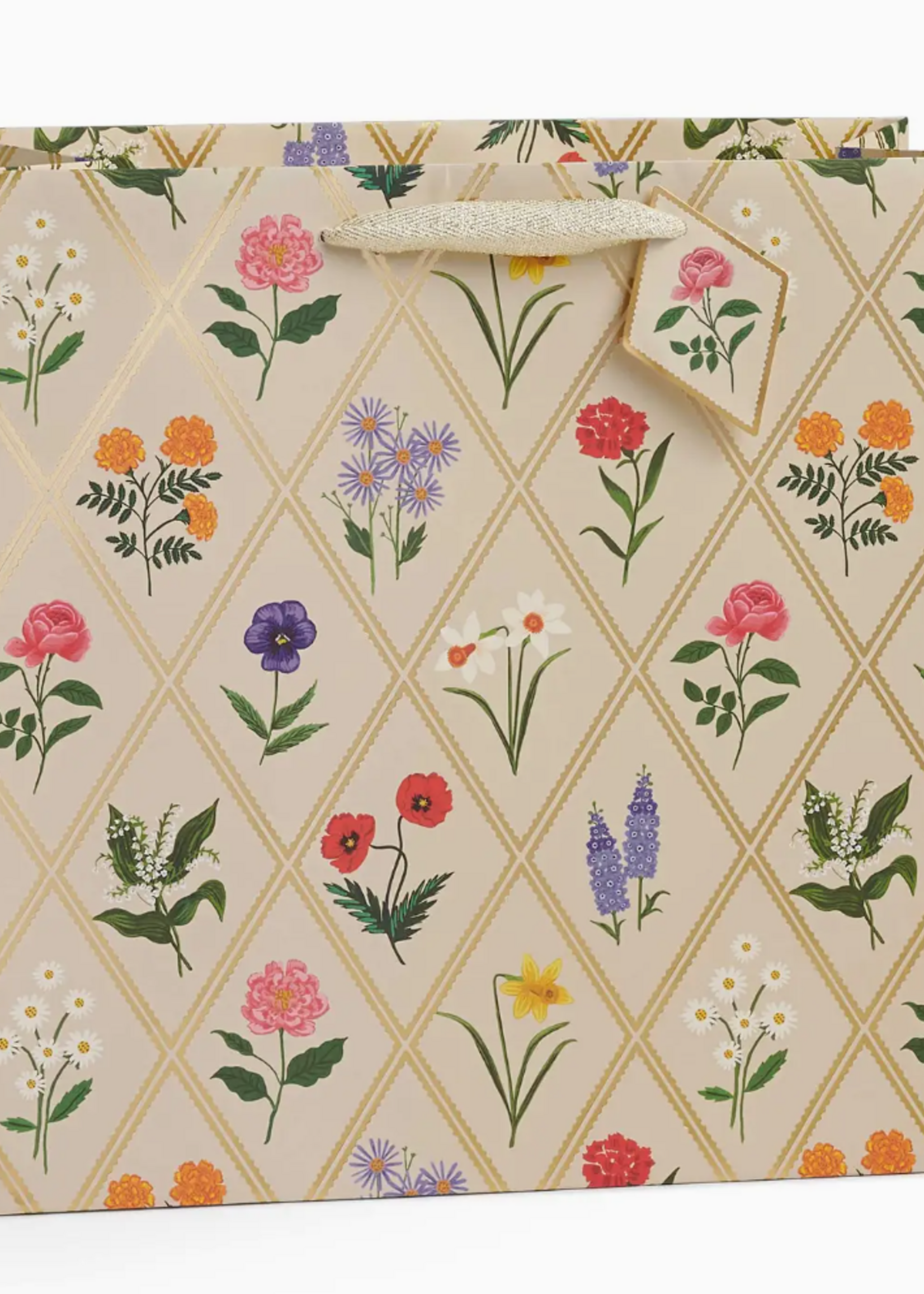 Rifle Paper Co. Garden Study Gift Bag -Large