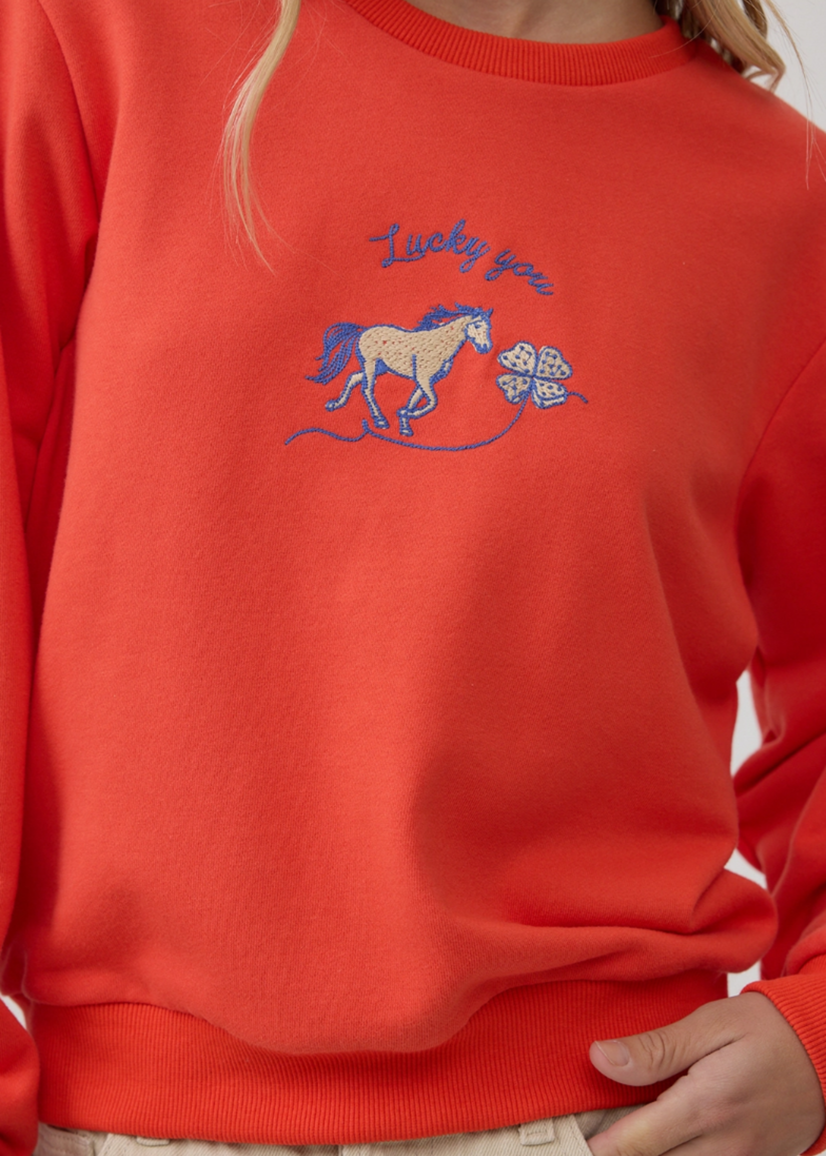 RAISONNEL Horse Embroidered Crewneck Sweatshirt