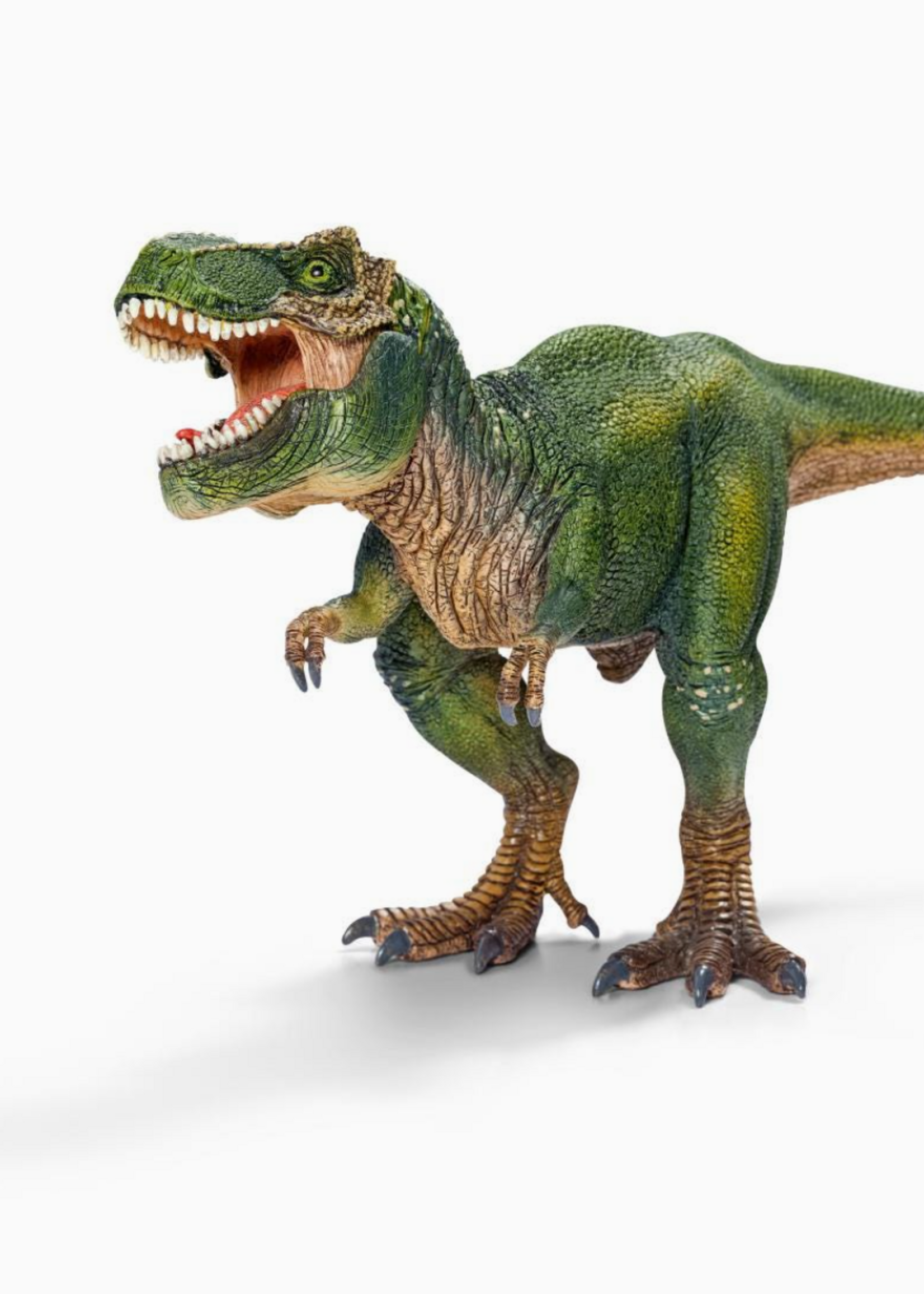 schleich Tyrannosaurus Rex
