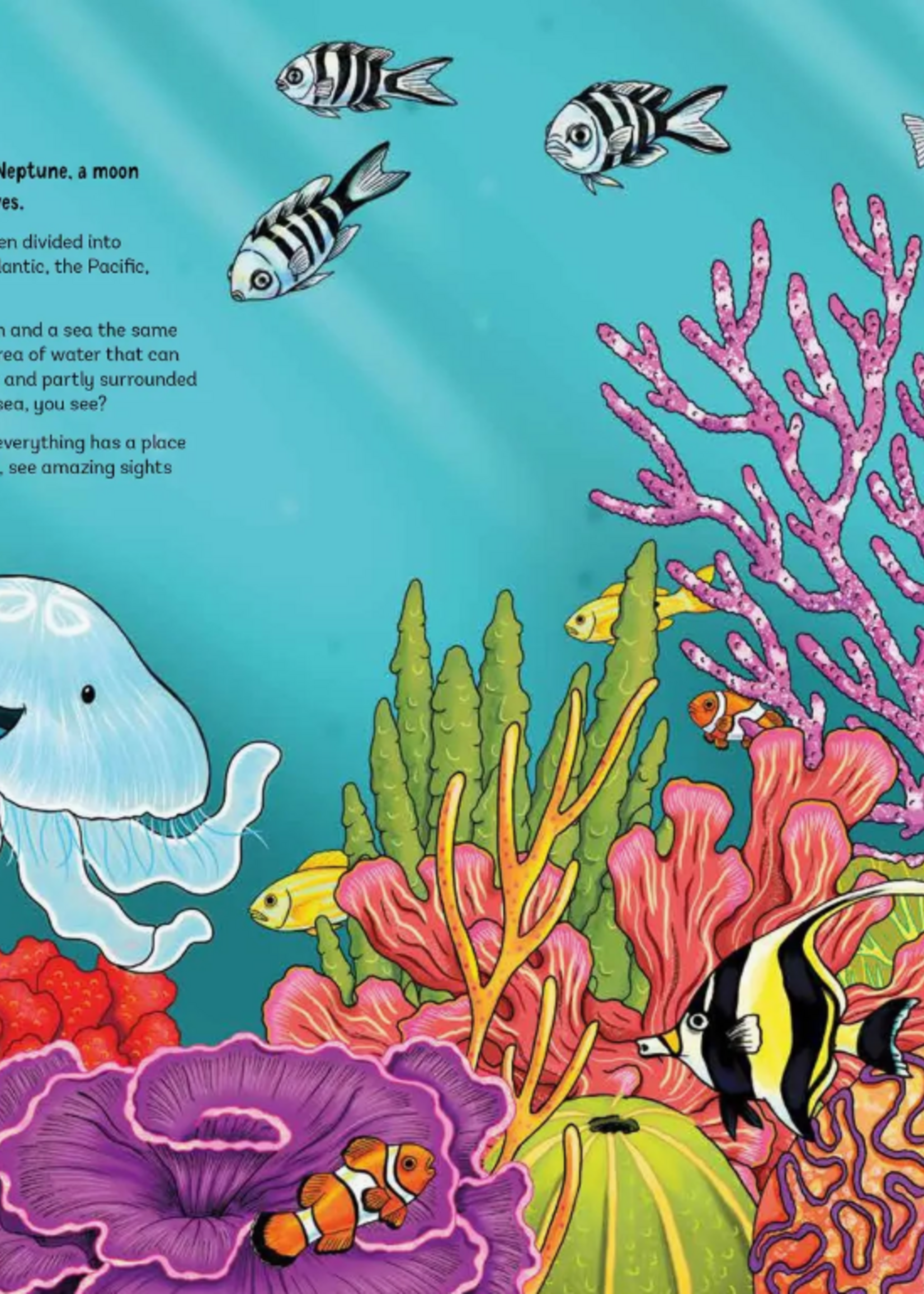 Chronicle Books Drop Into the Ocean