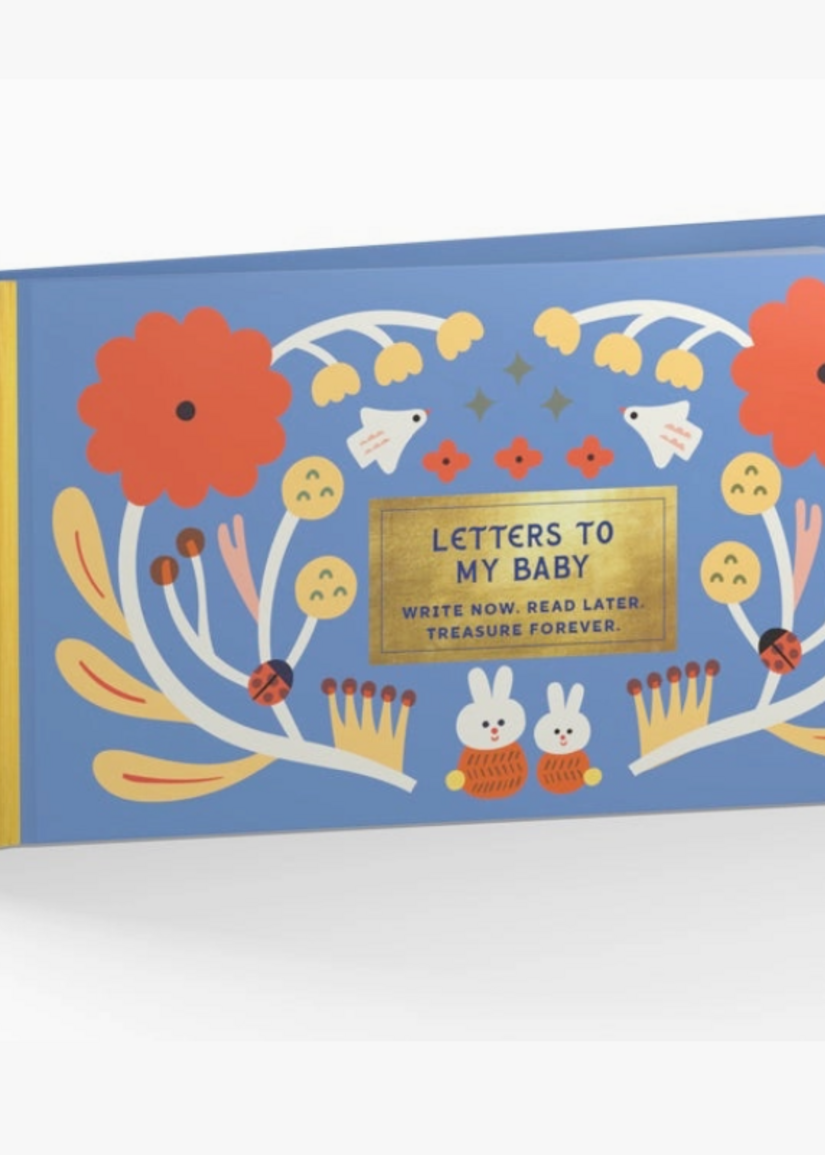 Chronicle Books Inspired Letters To My Baby