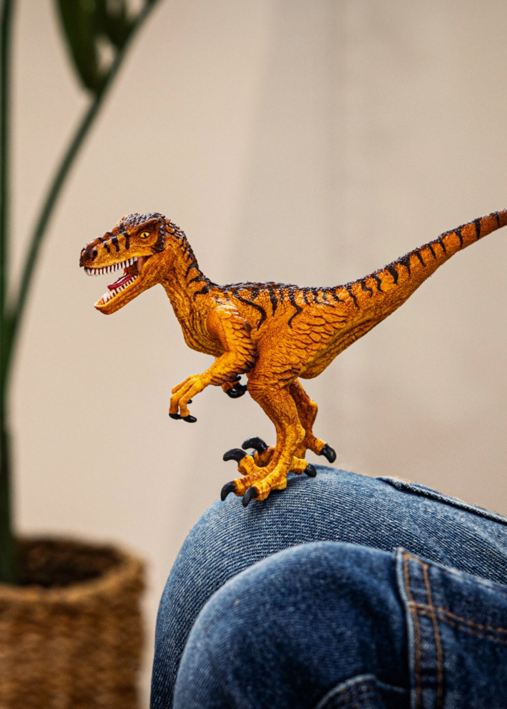 schleich Velociraptor