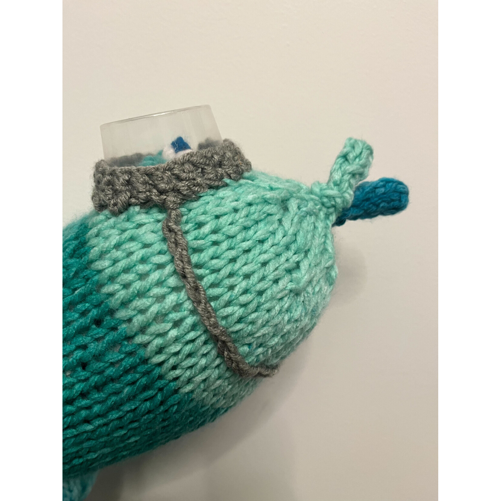 **ADOPTED** - Banded Blimpfish