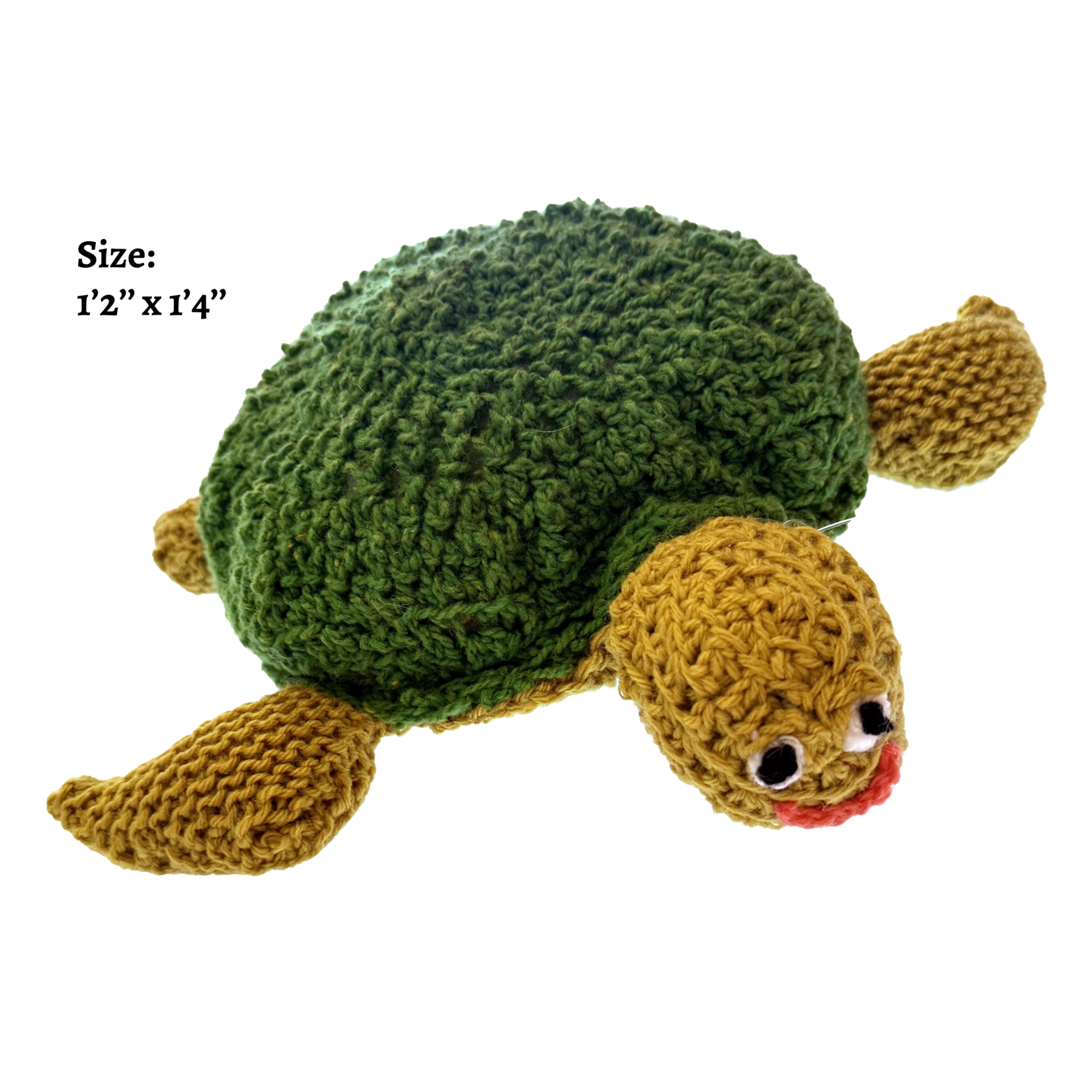 **ADOPTED** - Disc Turtle
