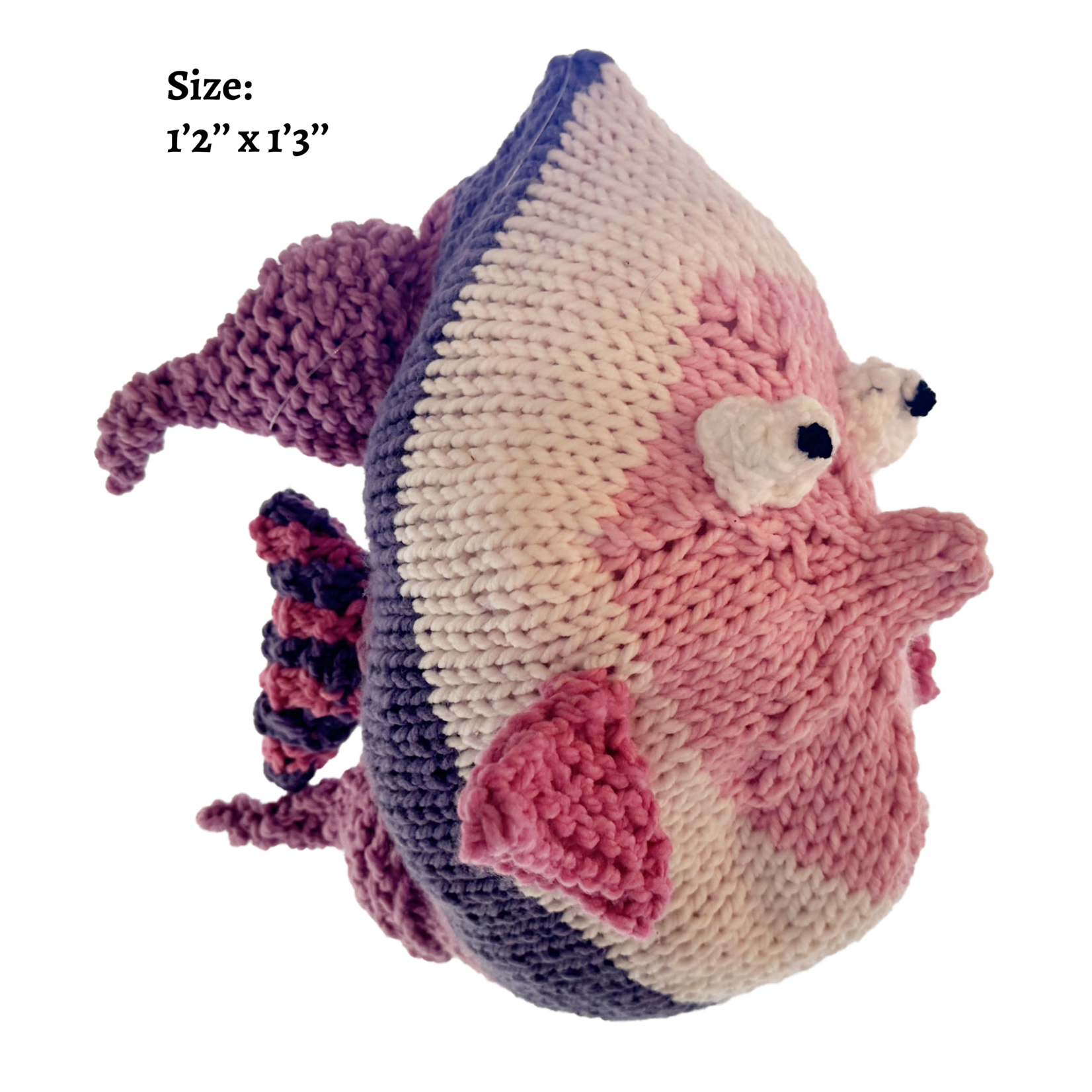 **ADOPTED** Adopt-A-Fish - Rosey Angelfish