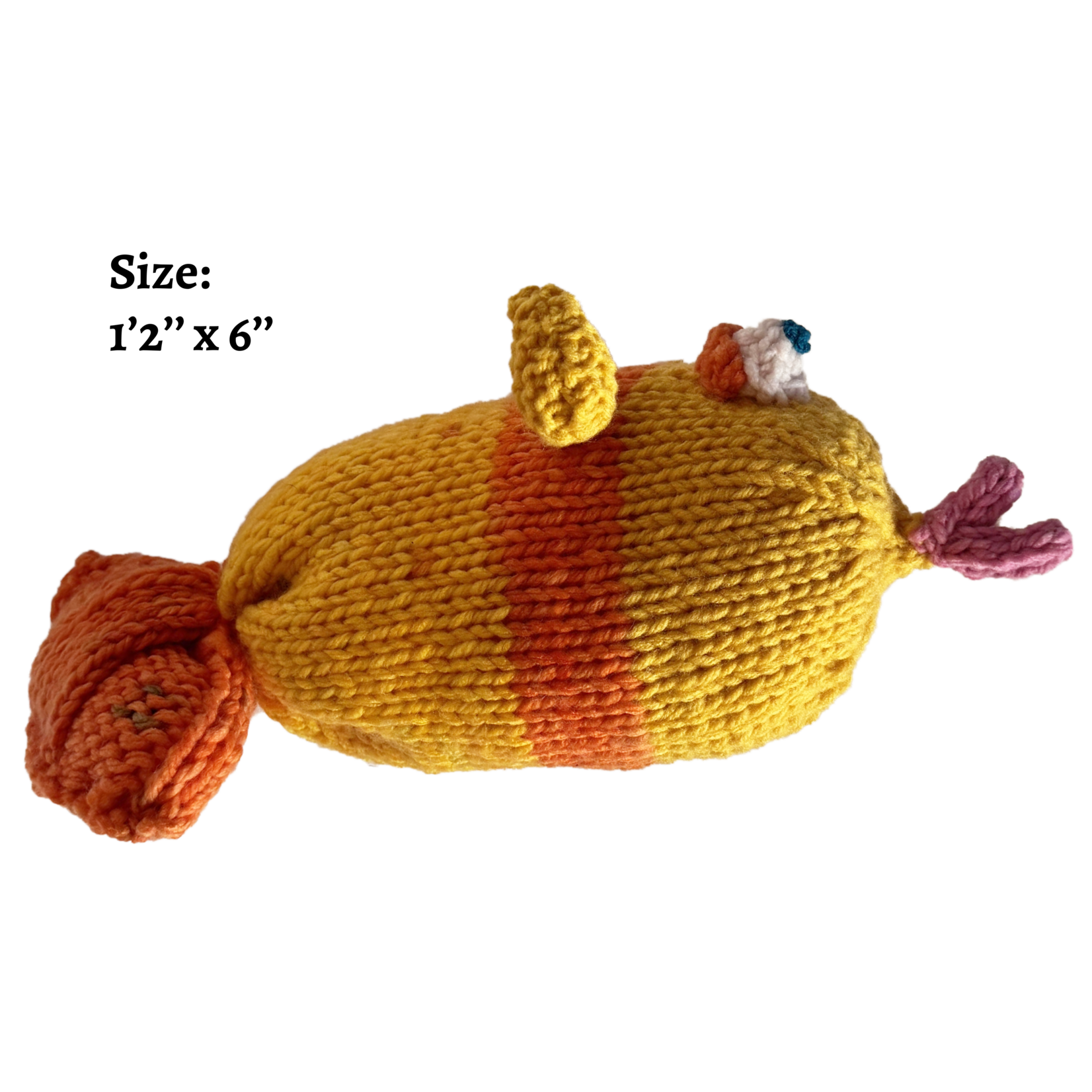 **ADOPTED** - Lesser Blimpfish