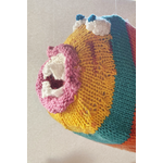 Adopt-A-Fish - Large-Toothed Stripefish