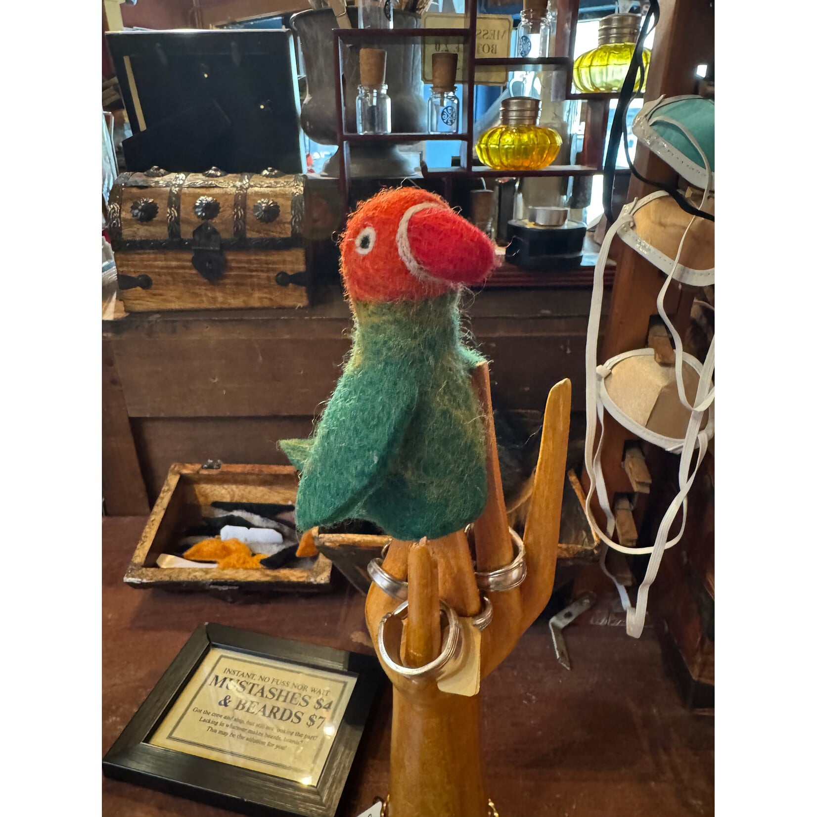 Undersea Study, Claude the Parrot
