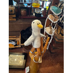 Undersea Study, Zoro the Seagull