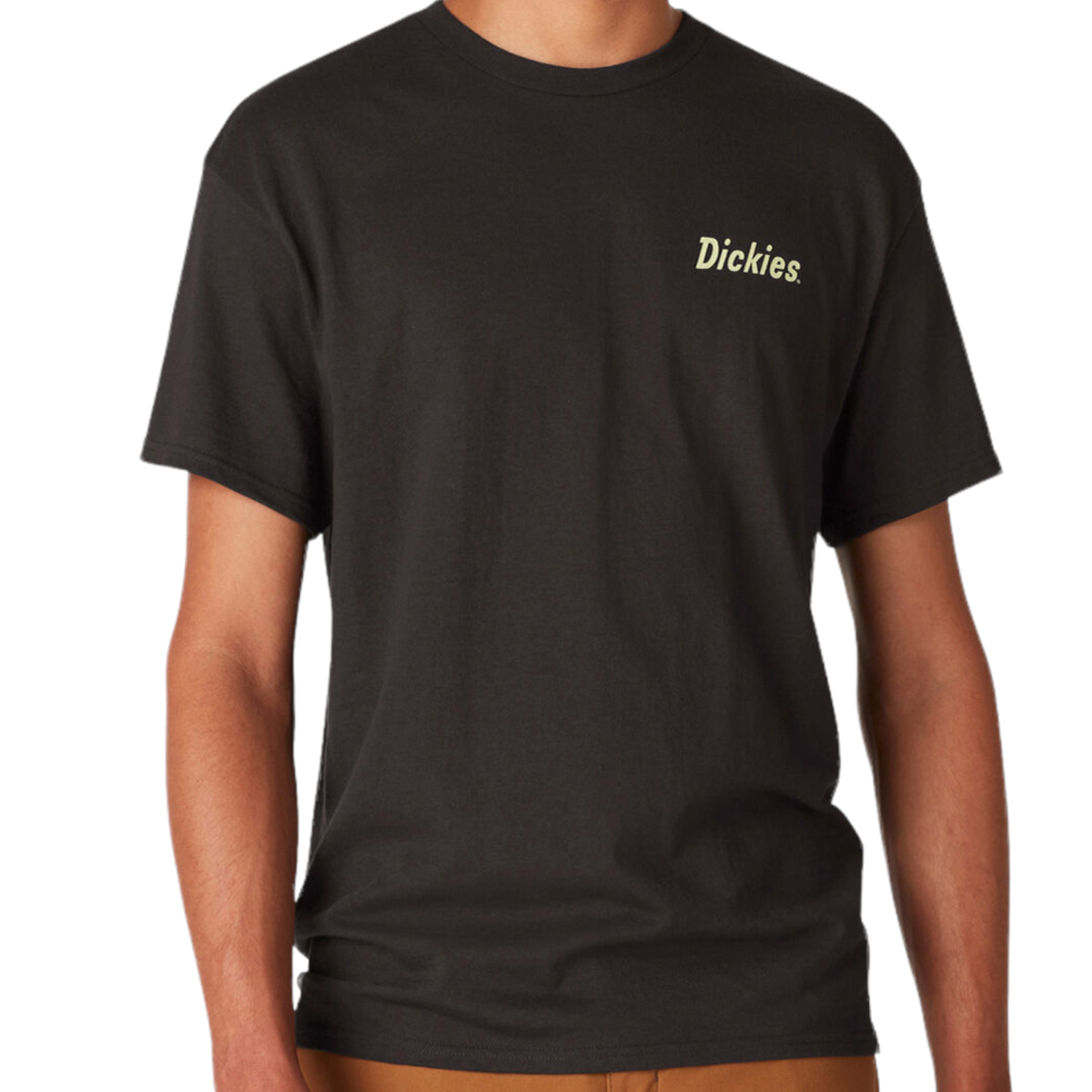 Dickies Dickies Skateboarding Split Graphic T-Shirt