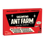 Schylling Ant Farm