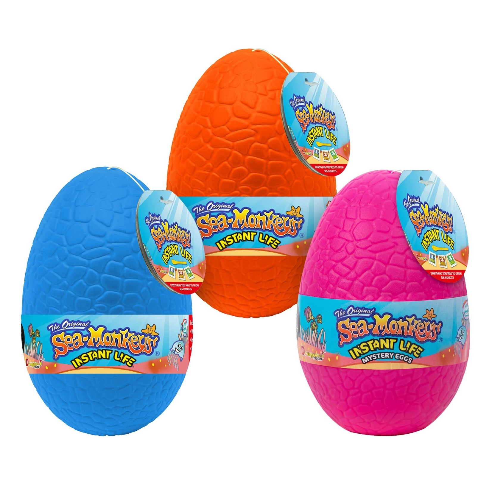 Sea Monkey - Mystery Egg - Uncle Buddy's Toy Stash